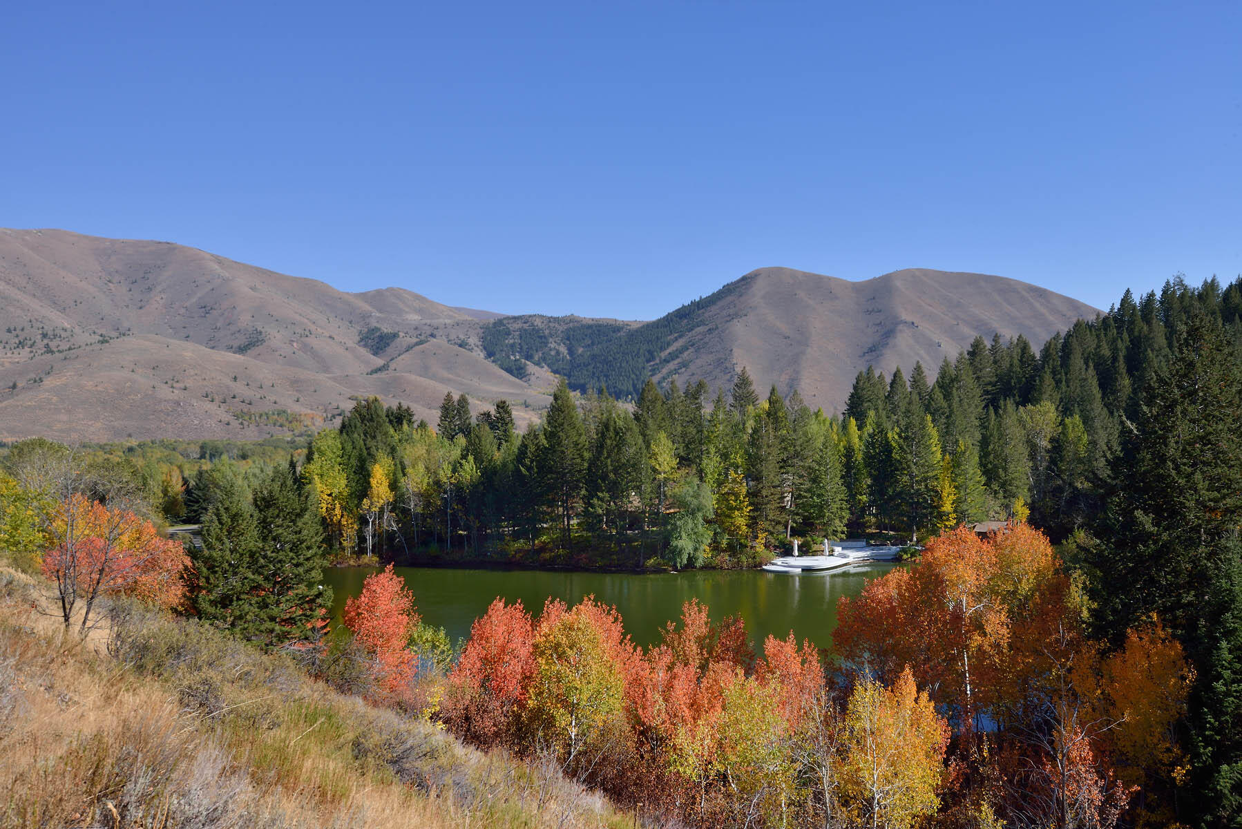 Fall Colors