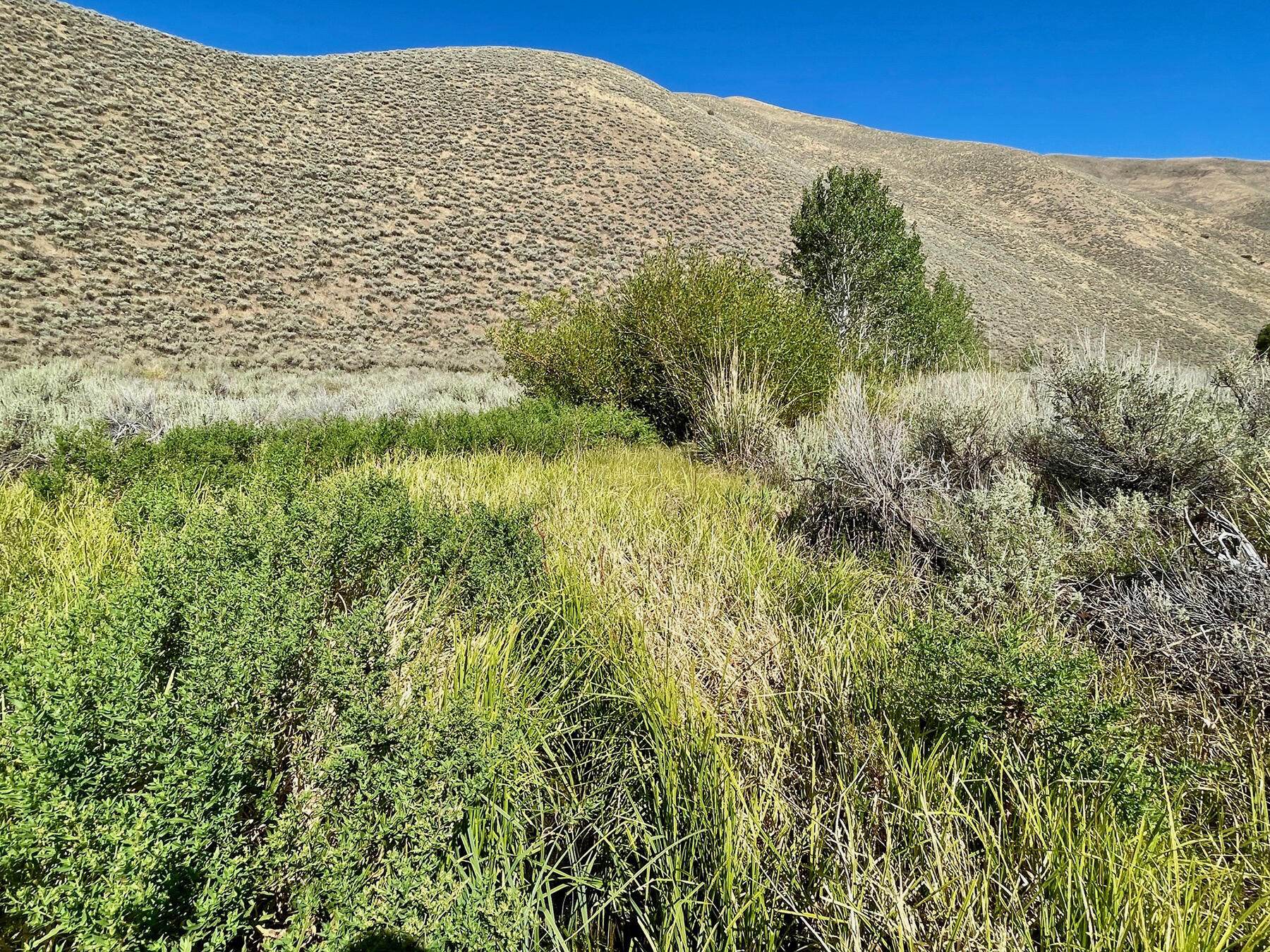 TBD Slaughterhouse Creek Rd, Bellevue, Idaho image 37