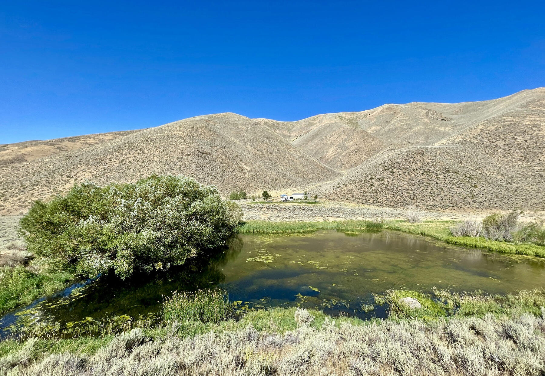 TBD Slaughterhouse Creek Rd, Bellevue, Idaho image 4