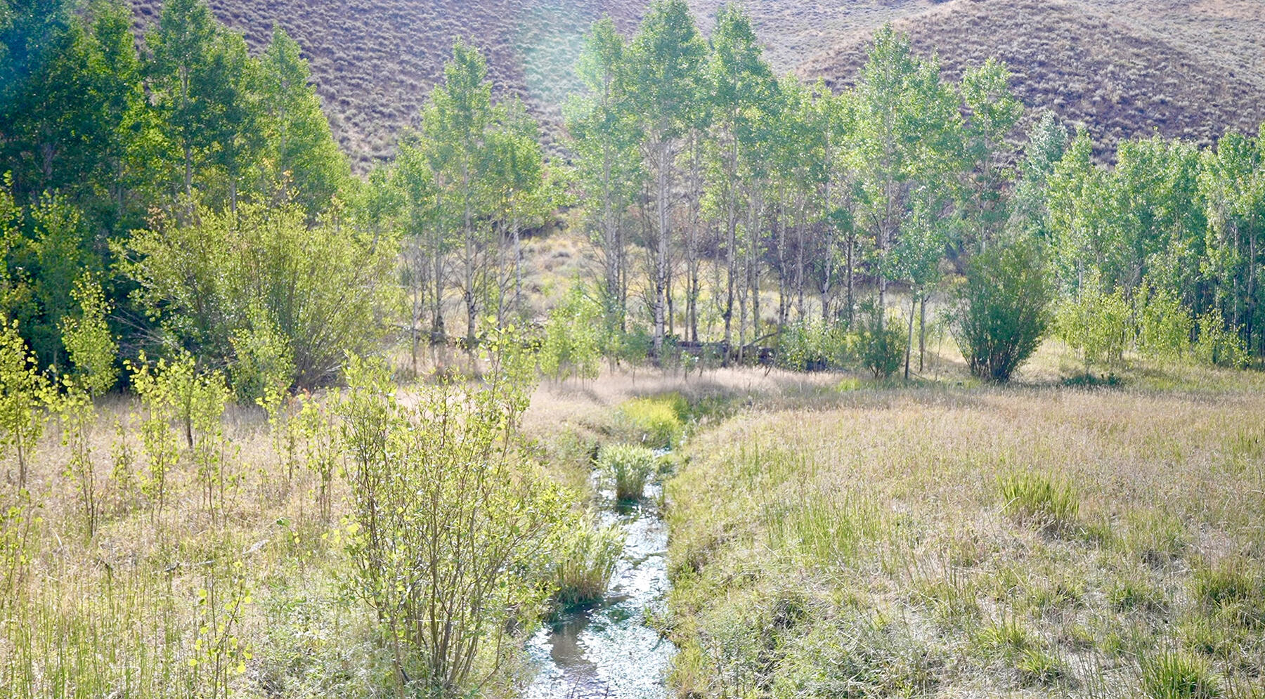 TBD Slaughterhouse Creek Rd, Bellevue, Idaho image 12