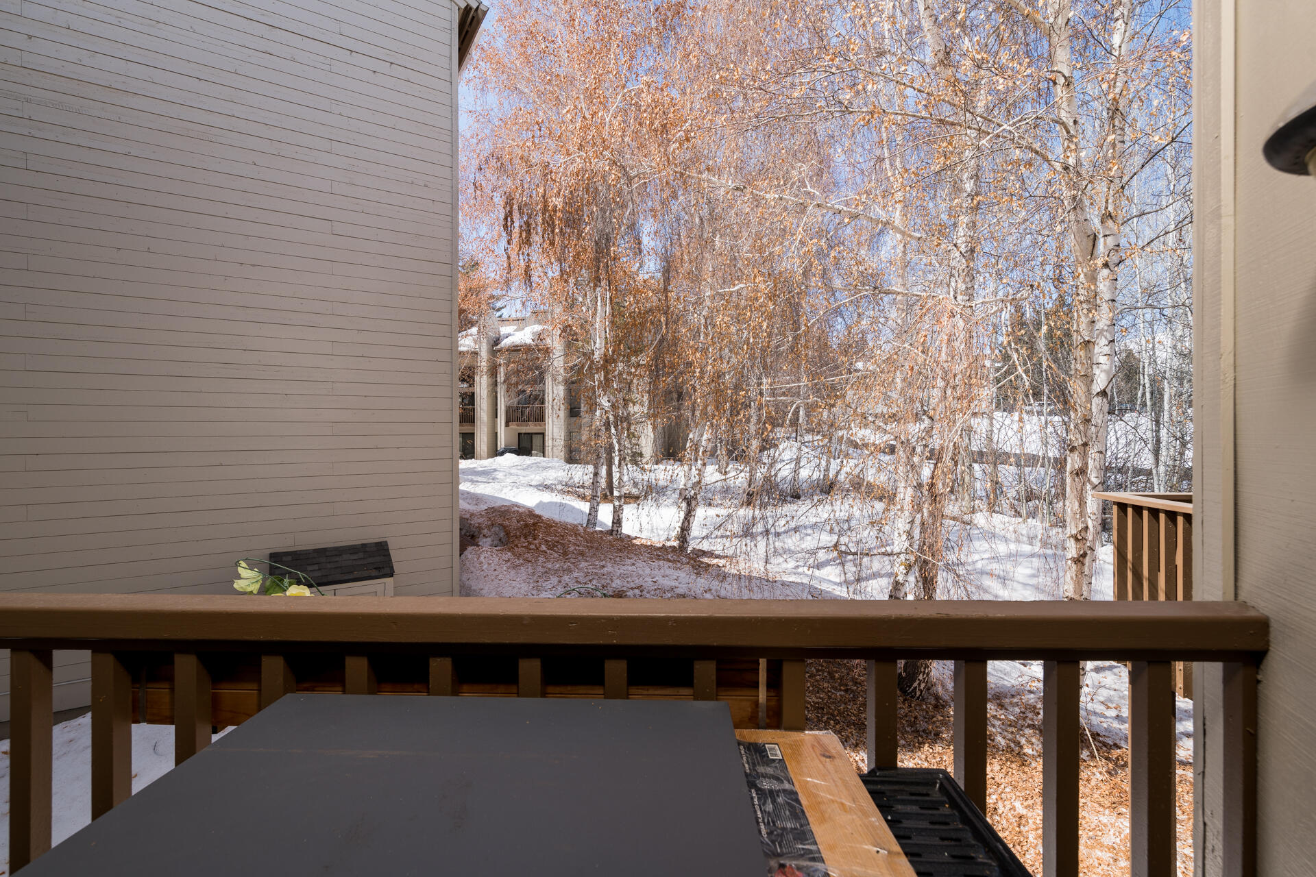 2422 Indian Springs Condo Dr #2422, Sun Valley, Idaho image 12