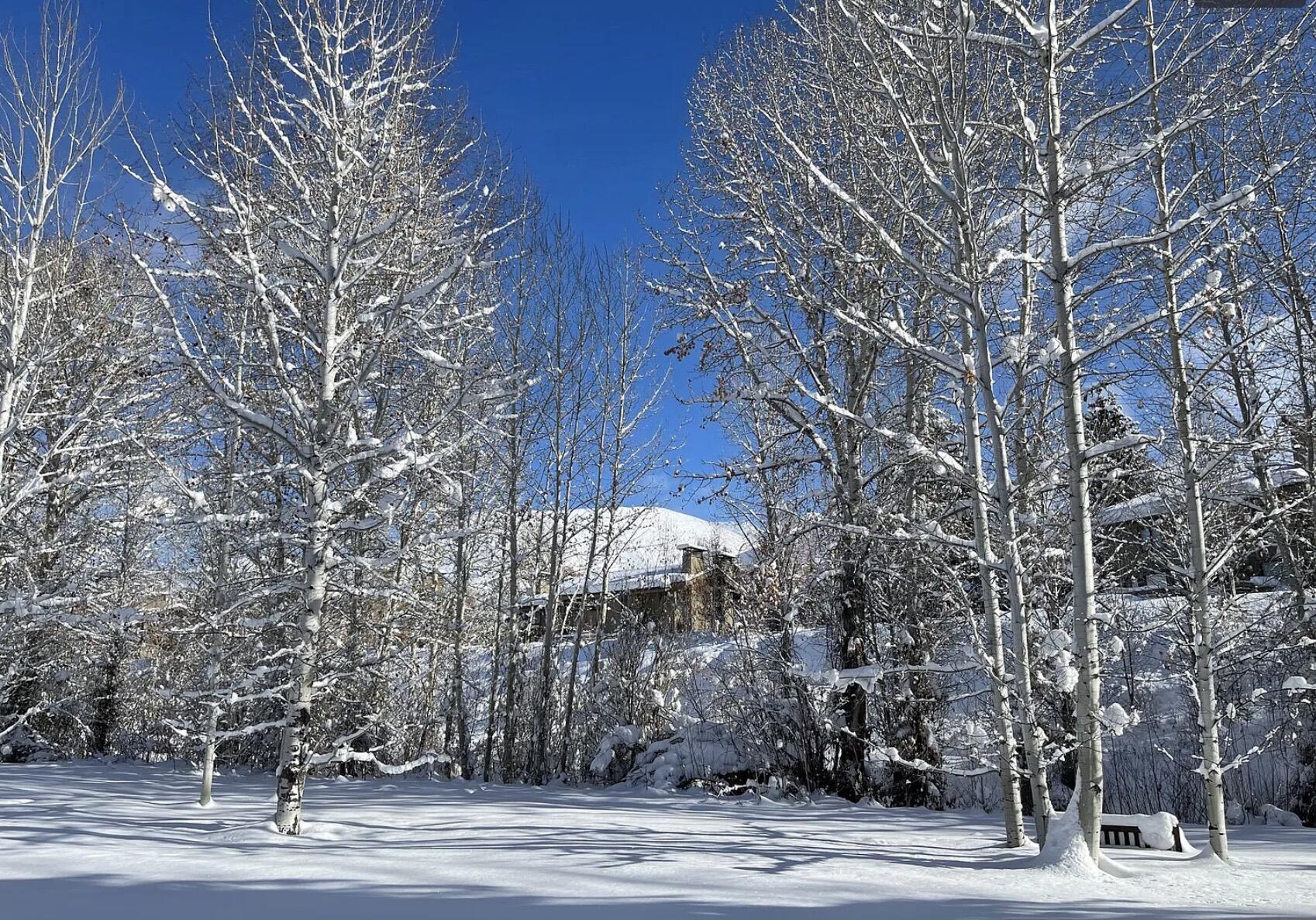 1066 Atelier Condo Drive Dr #1066 - BLDG N, Sun Valley, Idaho image 18