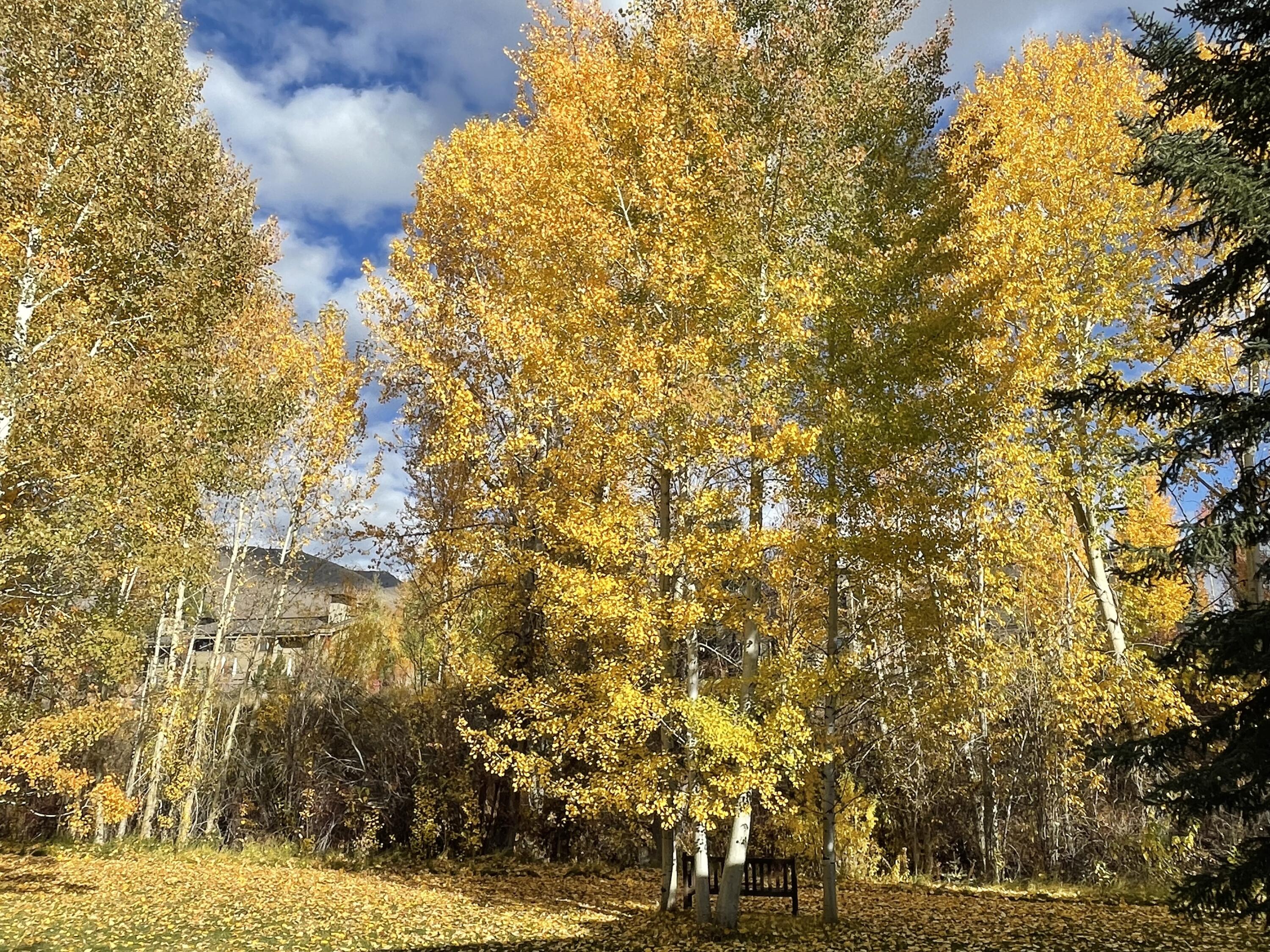 1066 Atelier Condo Drive Dr #1066 - BLDG N, Sun Valley, Idaho image 17