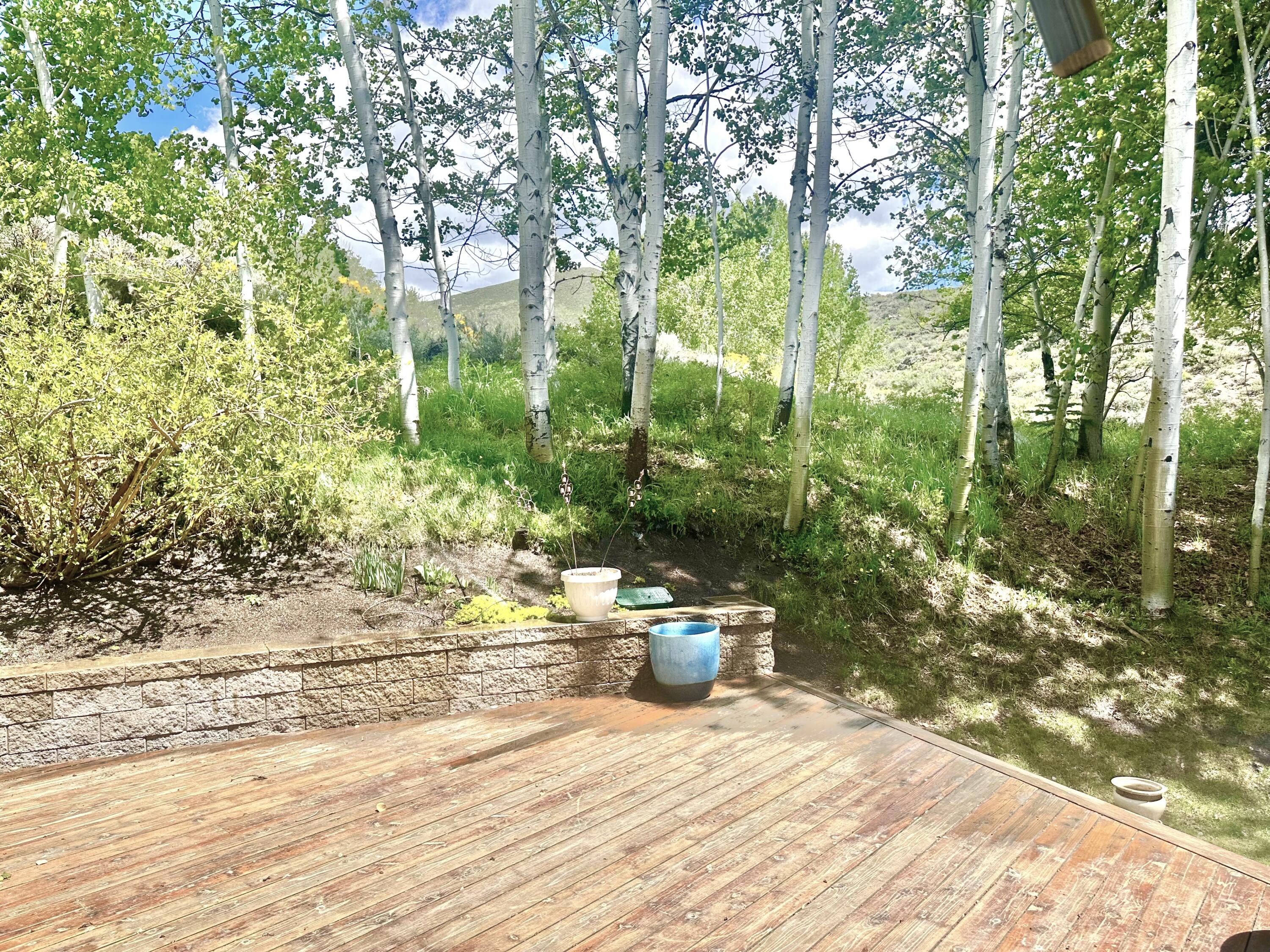 1001 Weyyakin Dr, Sun Valley, Idaho image 35