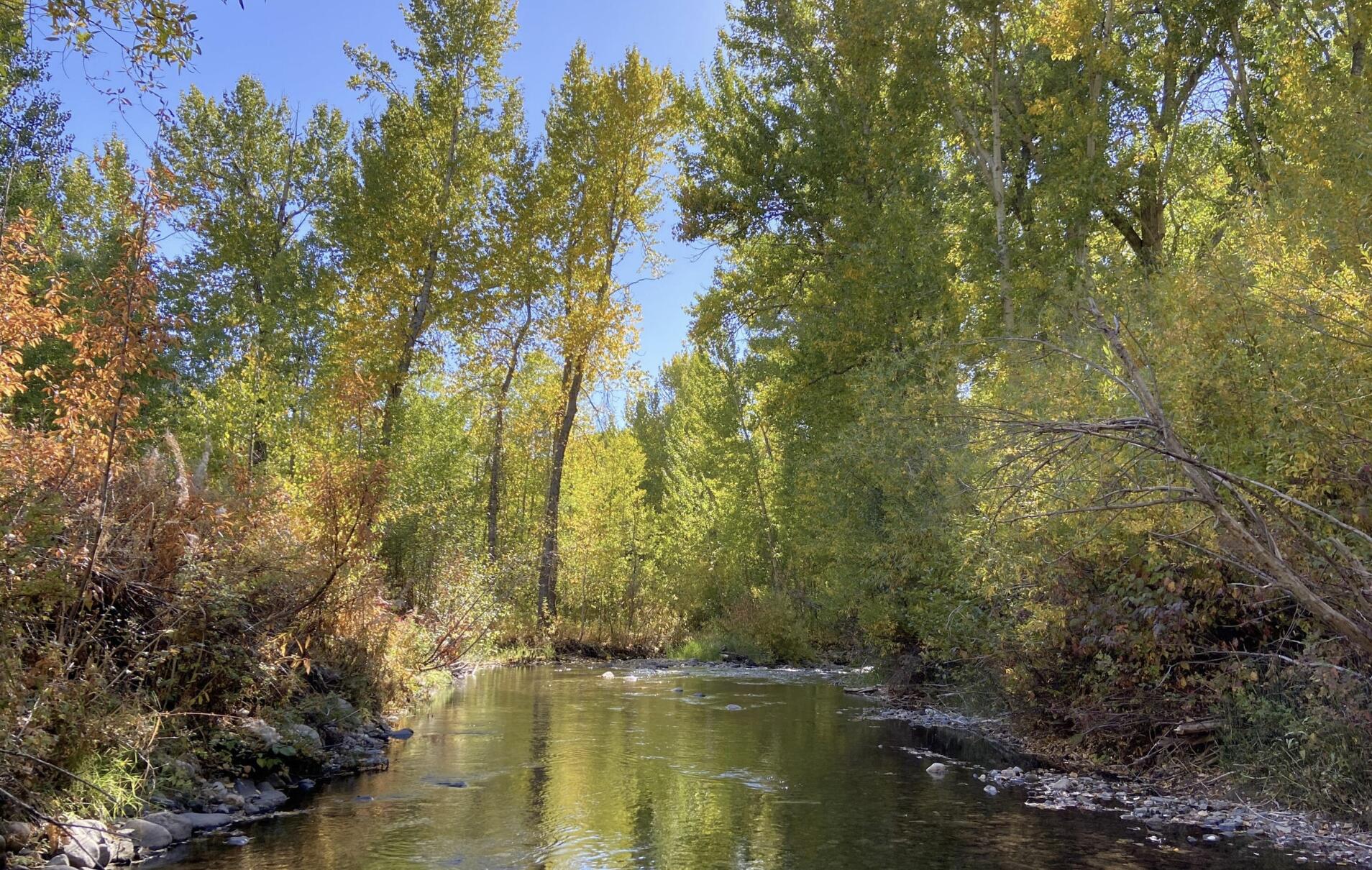 Fall on the East Fork