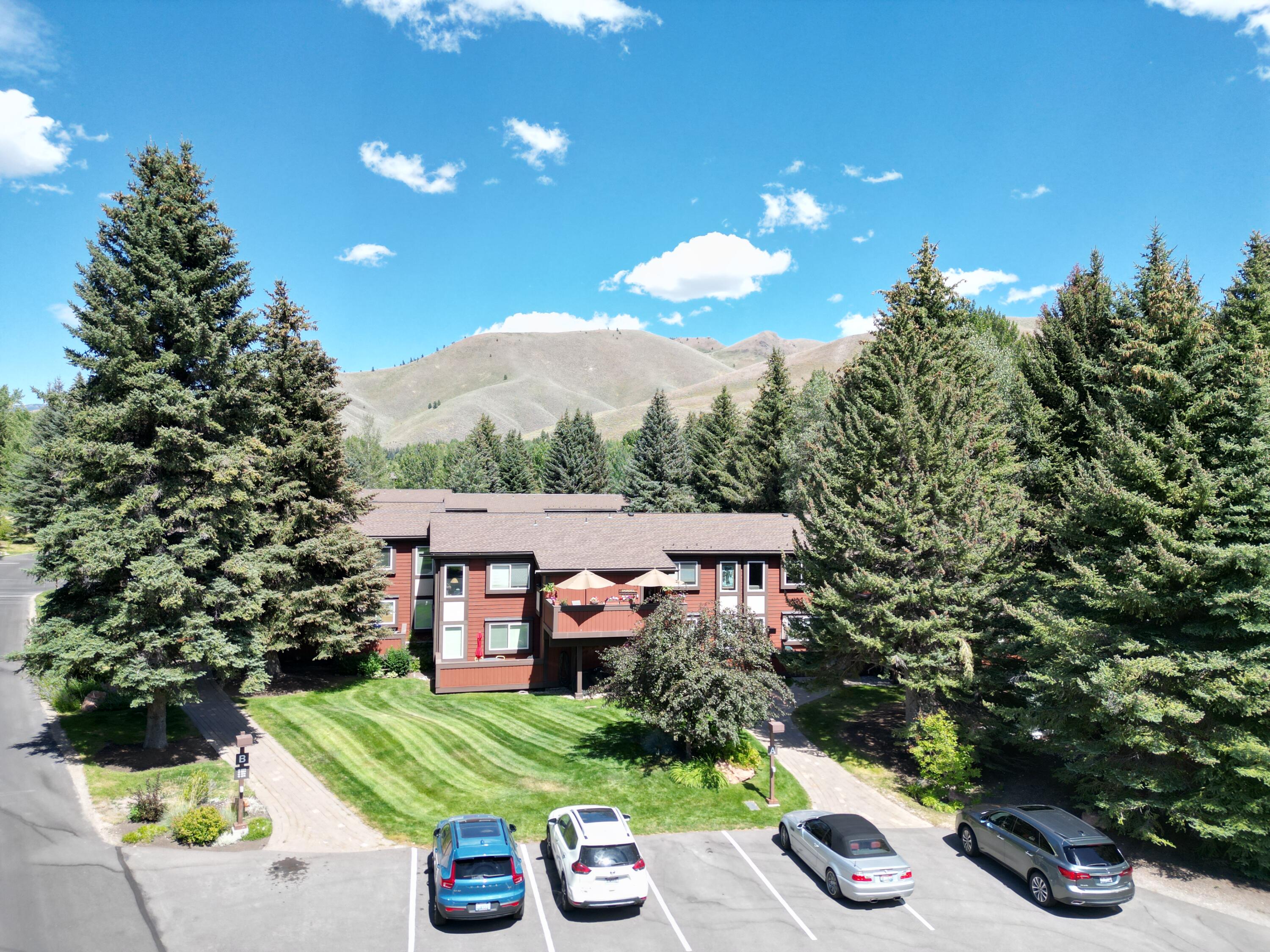 Aerial with Lawn and Parking