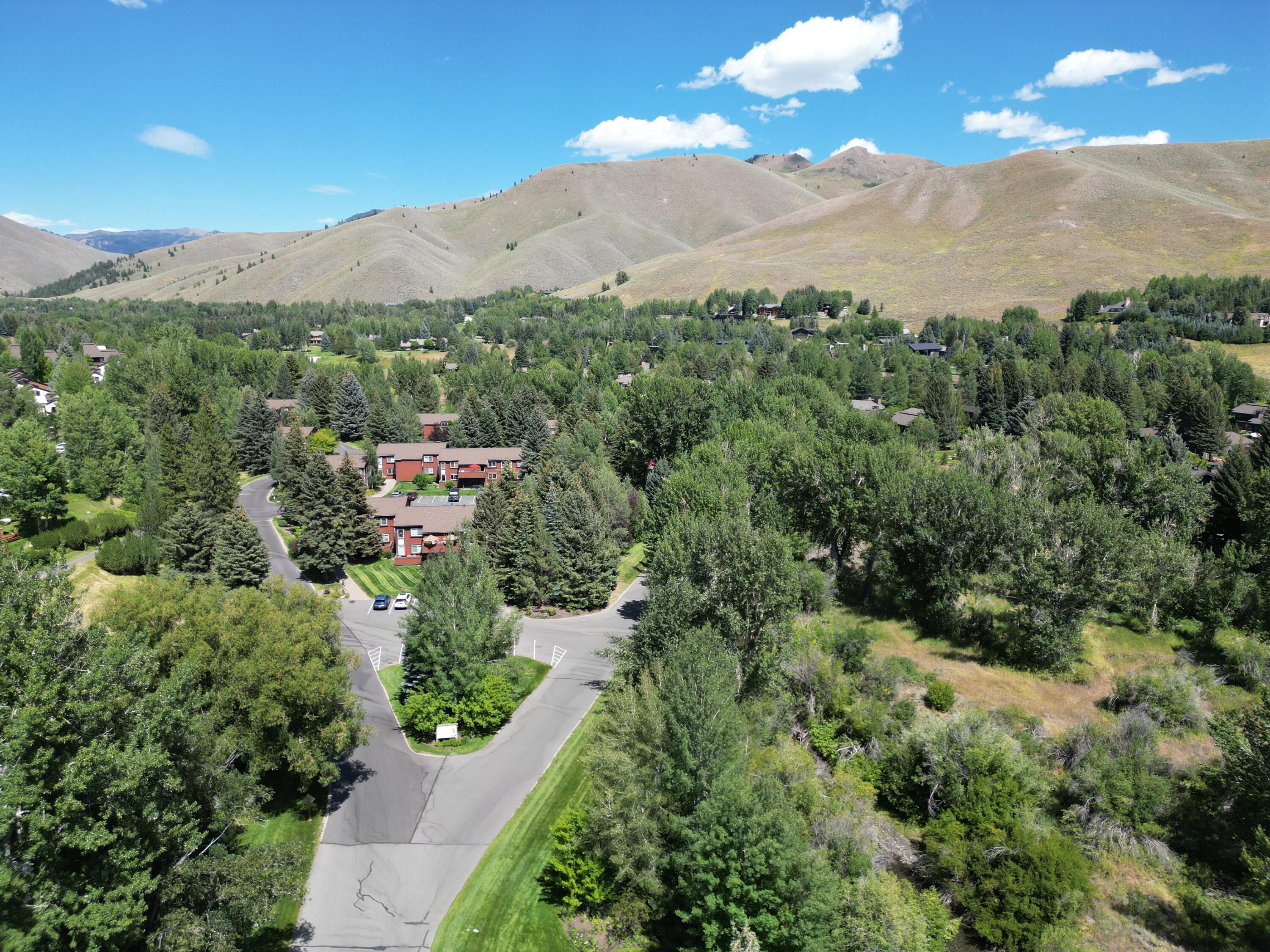 Aerial with Proctor Mtn #2