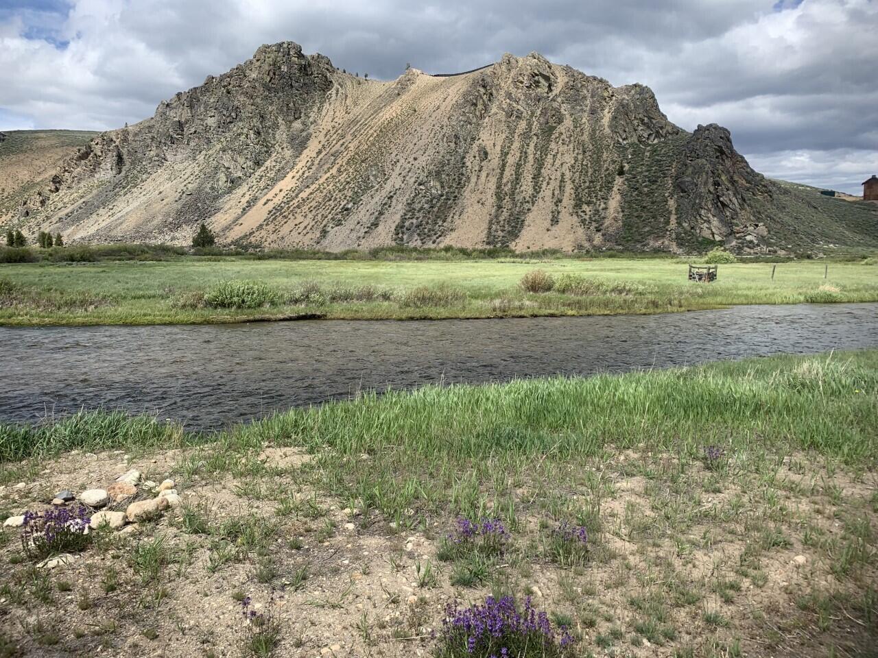 Summer on Valley Creek