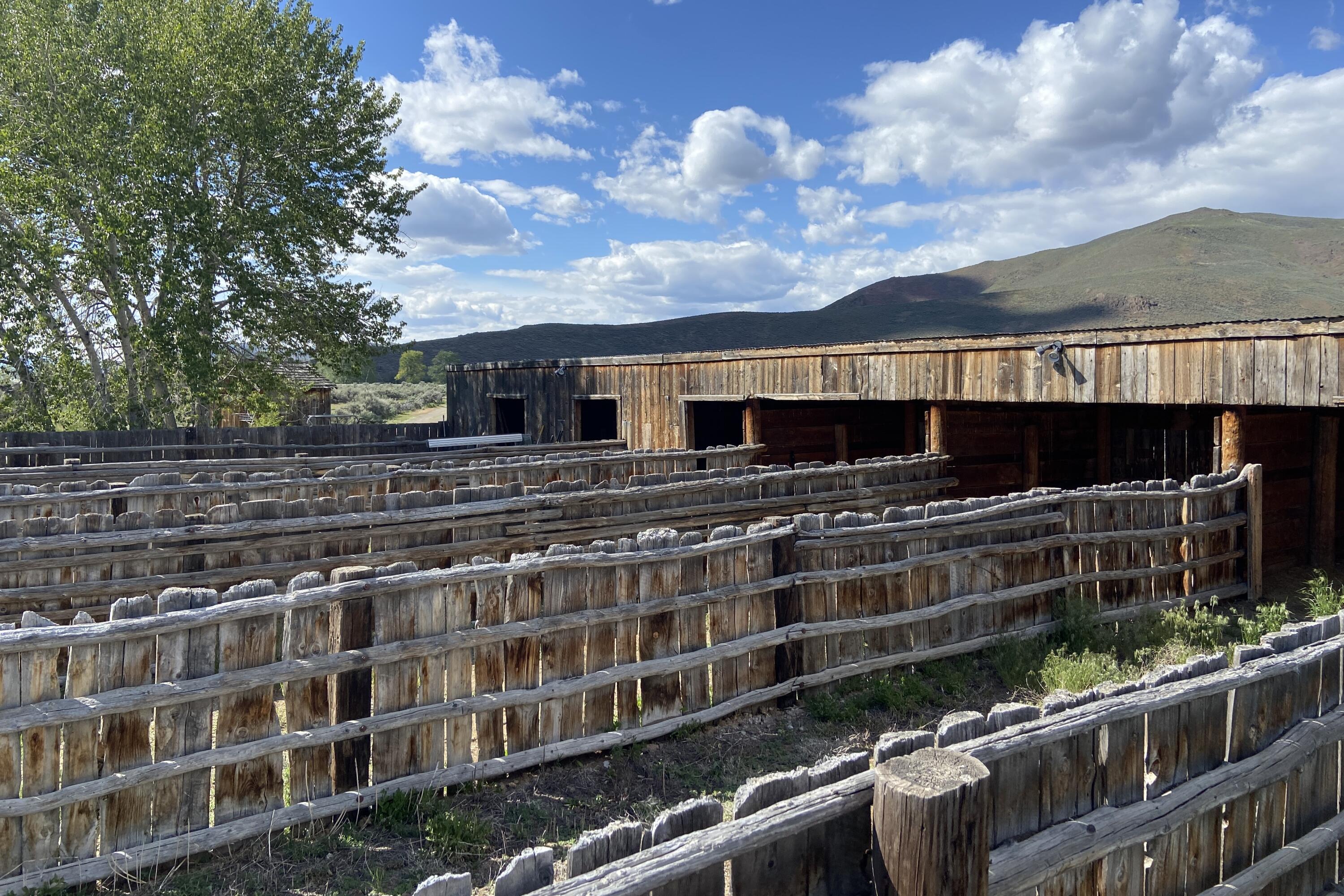 Blaine County, Idaho 83313, United States, 1 Bedroom Bedrooms, ,1 BathroomBathrooms,Residential,Pending,42095