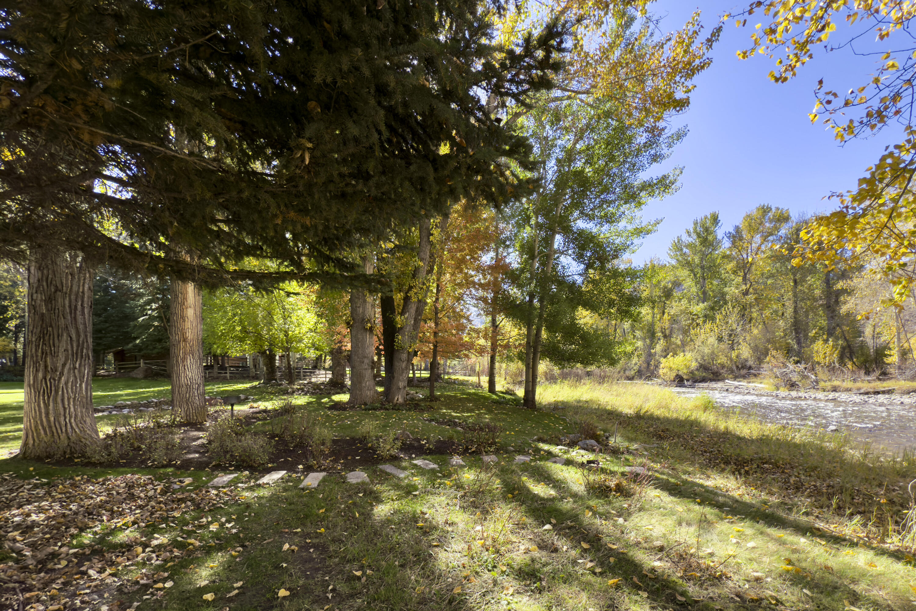 561 Northwood Way - Aerial Exterior - 30