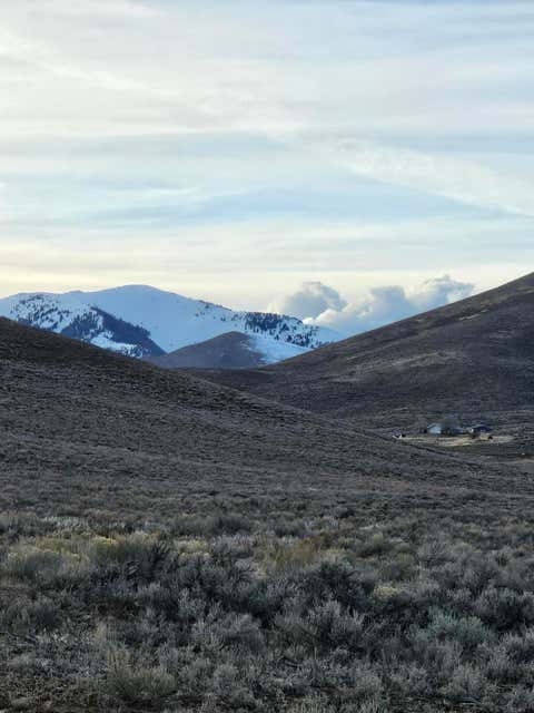 Homes For Sale - 1981 Blizzard Mt Rd<br/> Arco, ID 83213