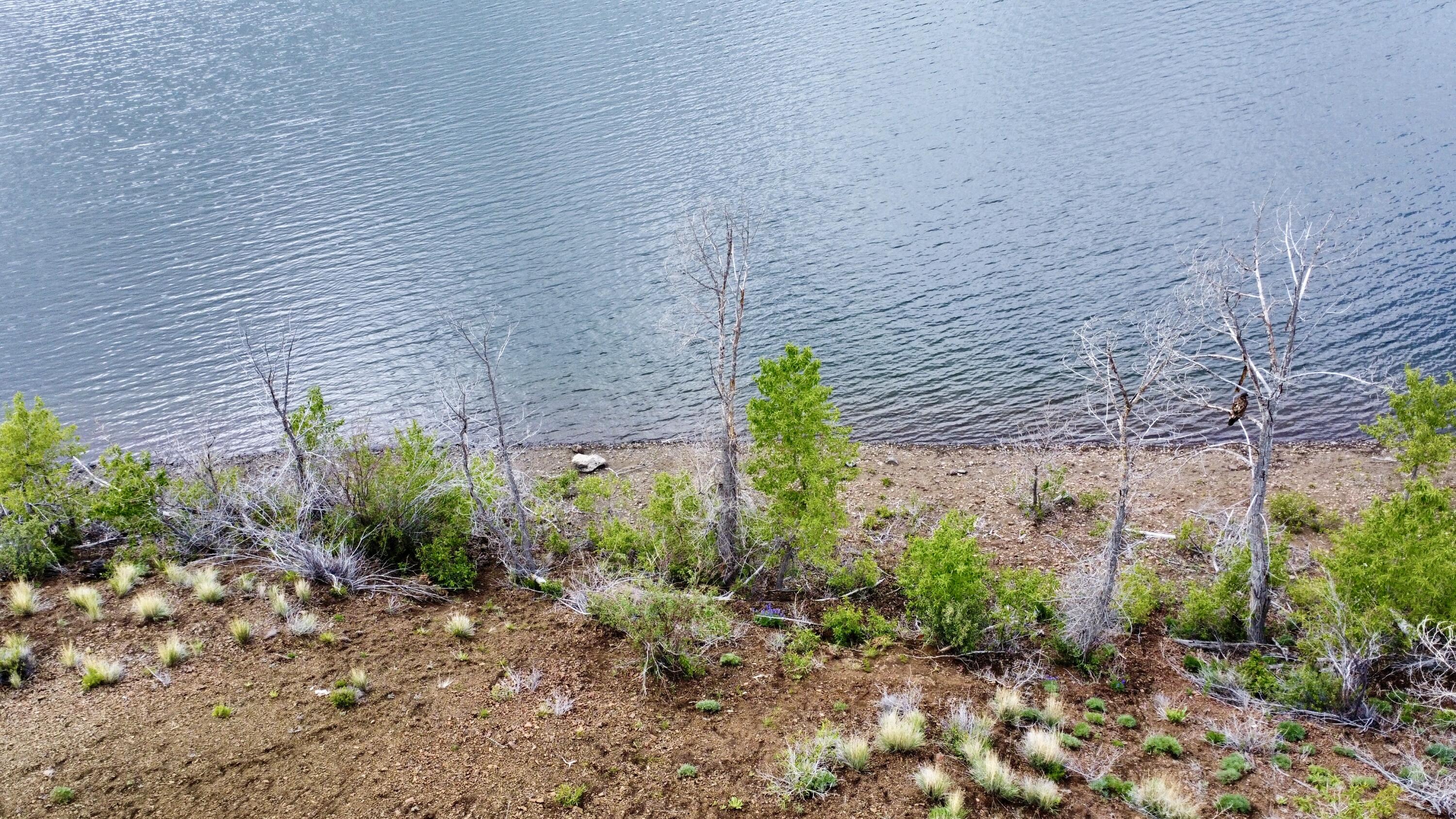 Lot 60 and 61 on Williams Lake