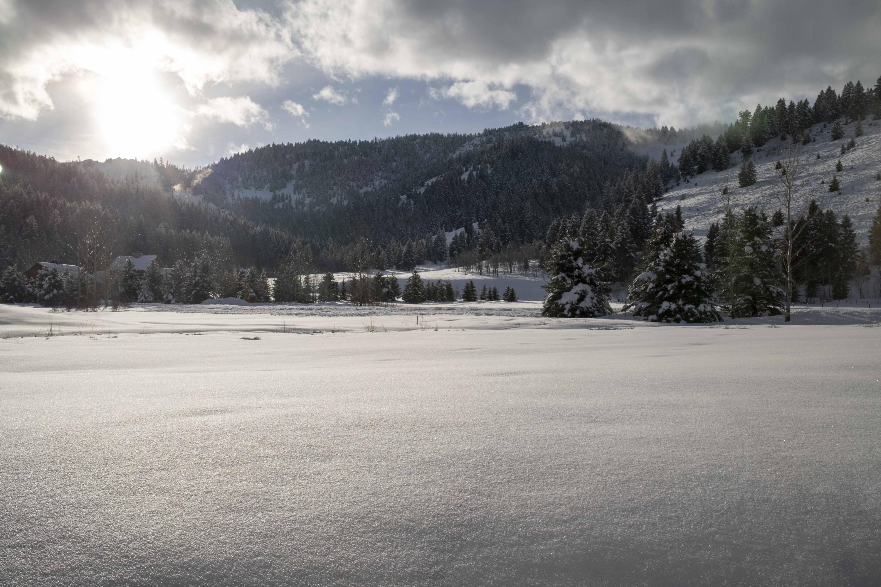 Blaine County, Idaho 83340, United States, 3 Bedrooms Bedrooms, ,4 BathroomsBathrooms,Residential,Pending,64935