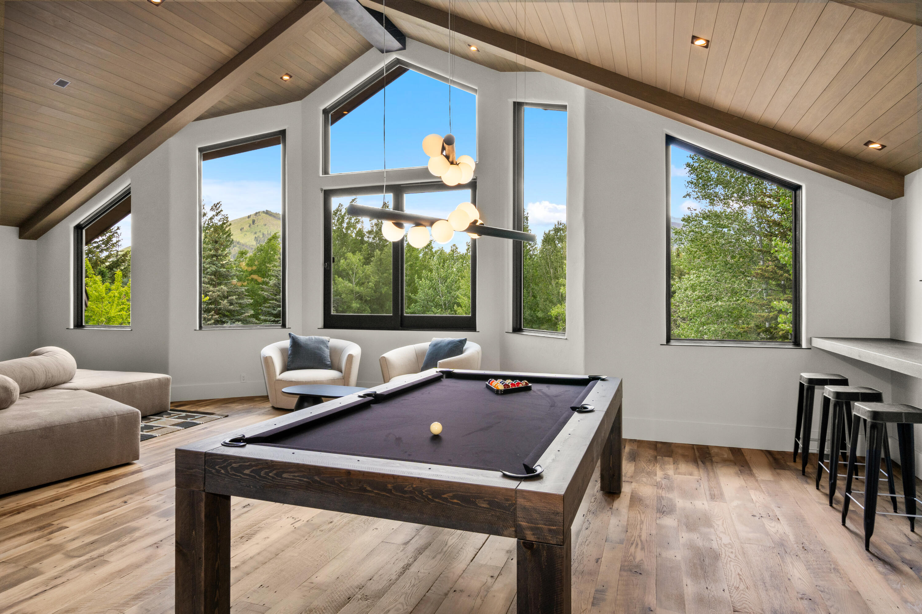 Bar/Media/Game Room