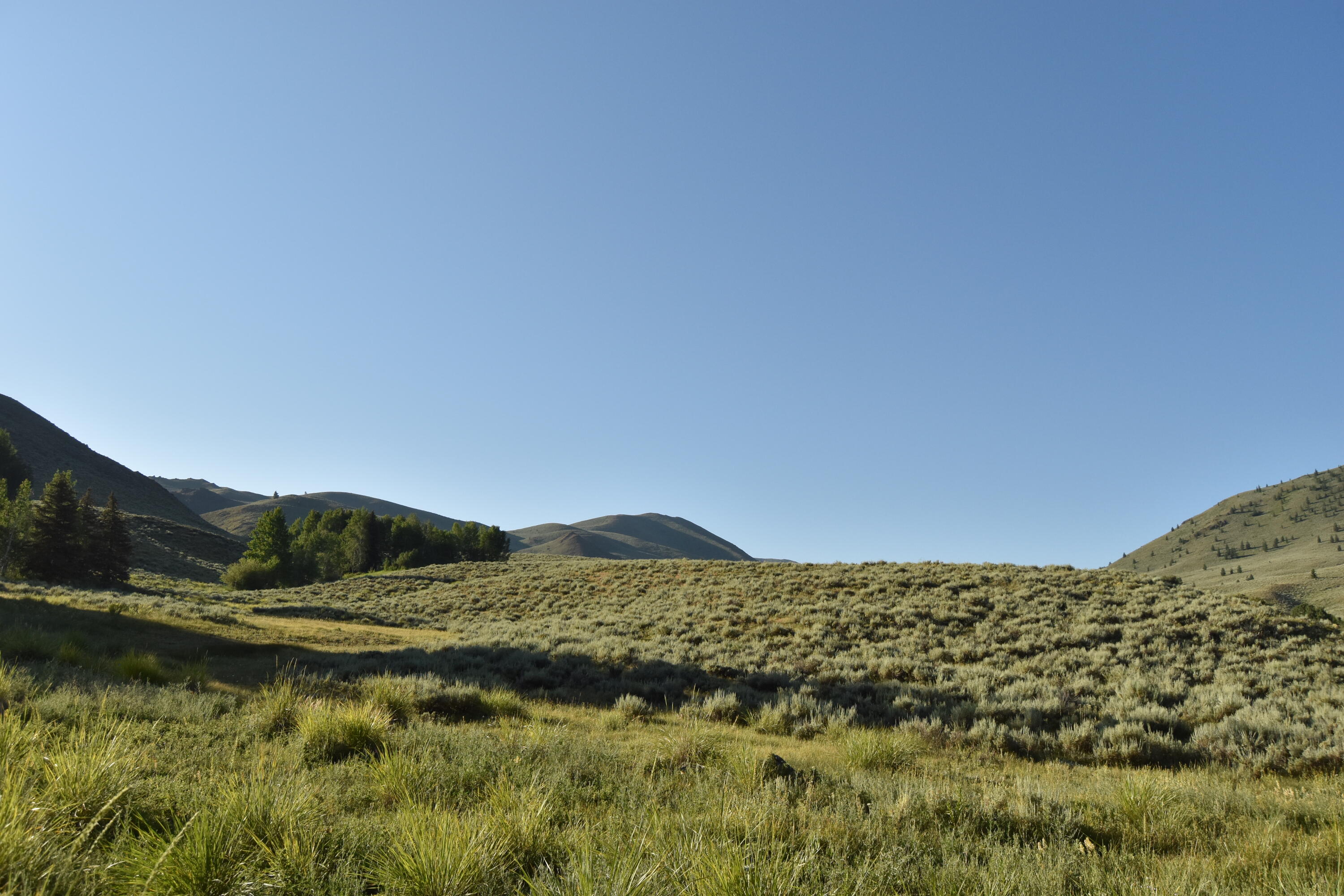 Sun Valley, Idaho 83353, United States, ,Land,Active,183043