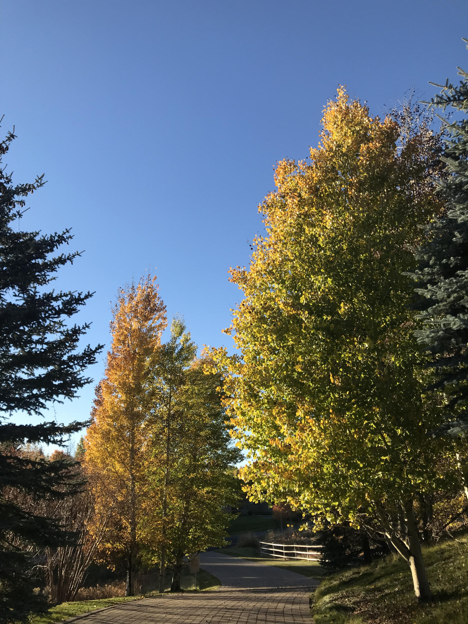 Sun Valley, Idaho 83353, United States, 3 Bedrooms Bedrooms, ,5 BathroomsBathrooms,Residential,Pending,55172