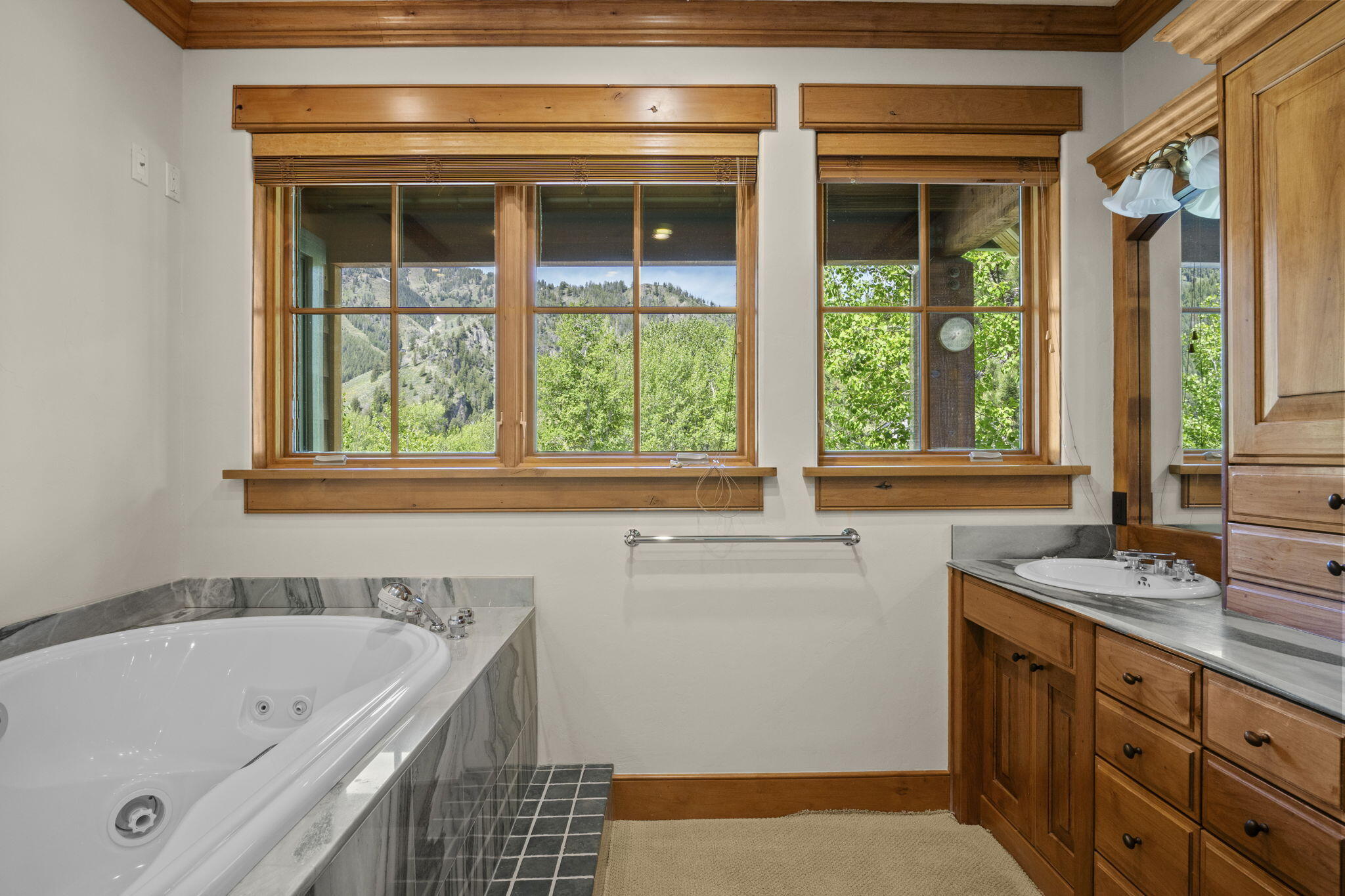 603 S Main St #19  20, Ketchum, Idaho image 25