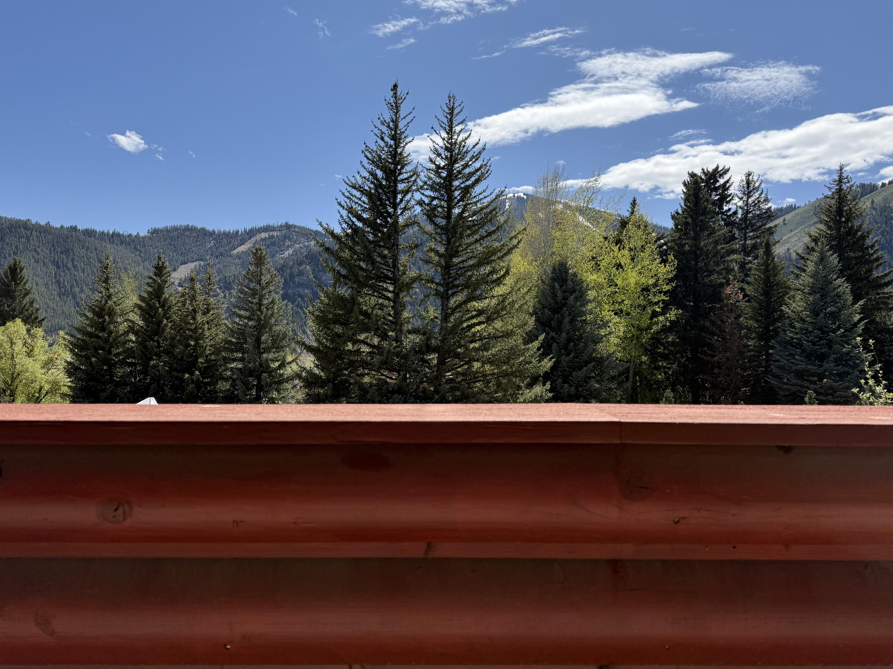 631 Alpine Lane, Ketchum, Idaho image 19