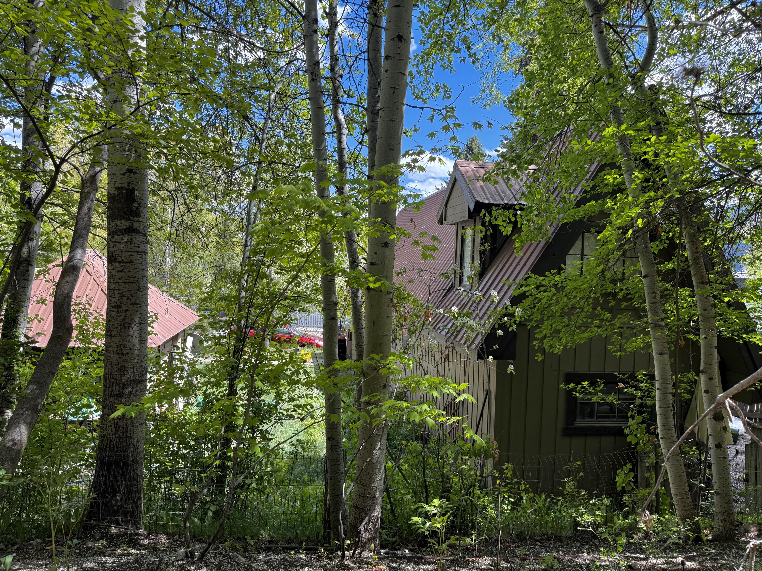 631 Alpine Lane, Ketchum, Idaho image 4