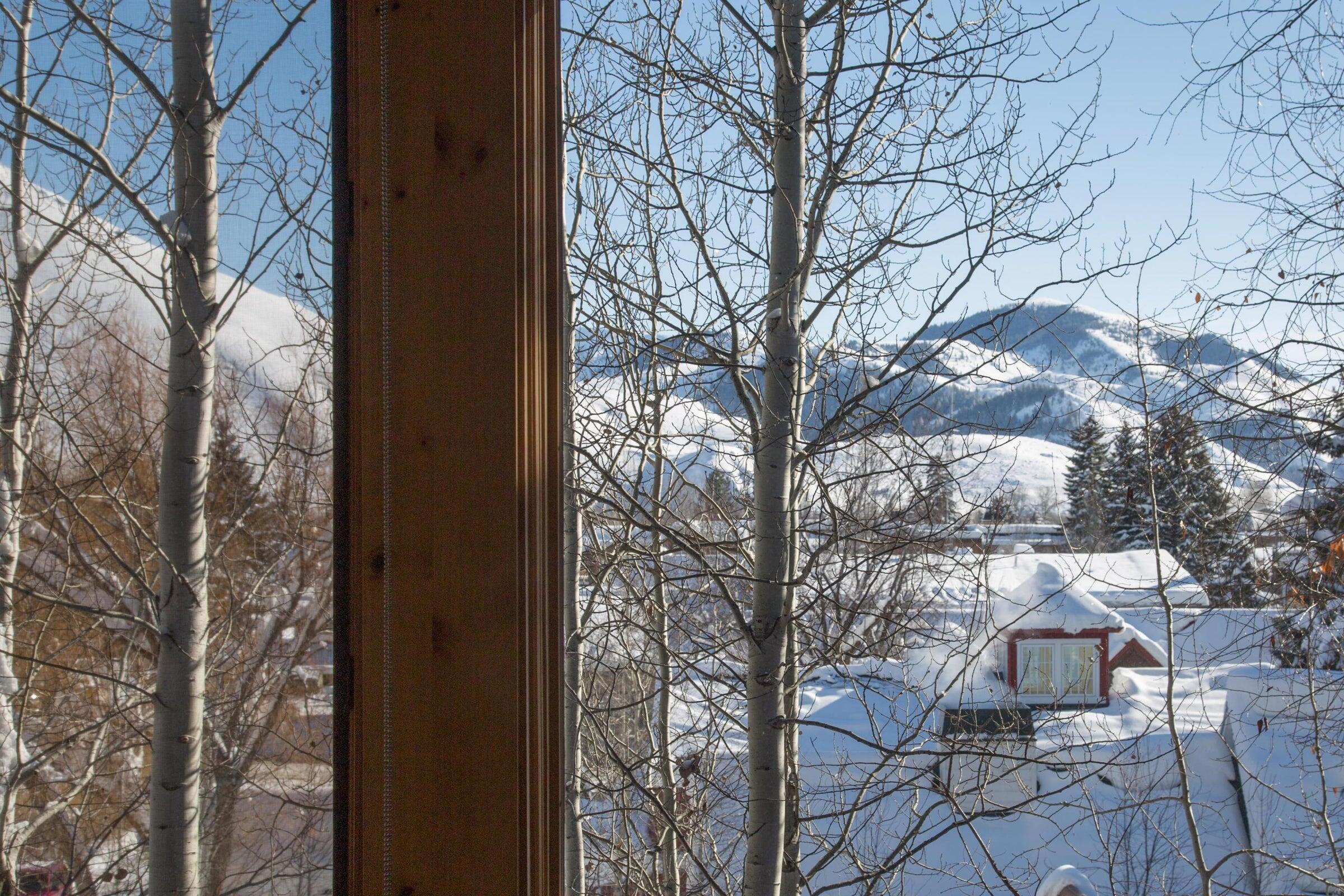 631 Alpine Lane, Ketchum, Idaho image 28