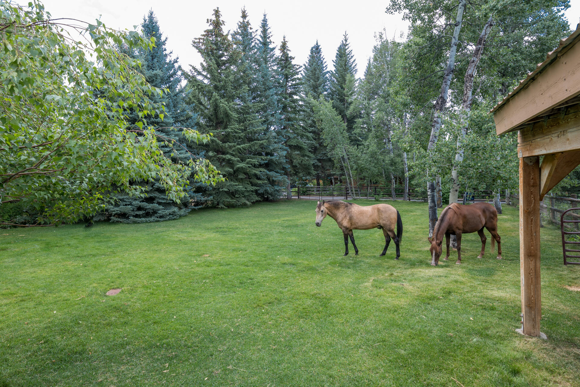 208 Easy St, Hailey, Idaho image 32