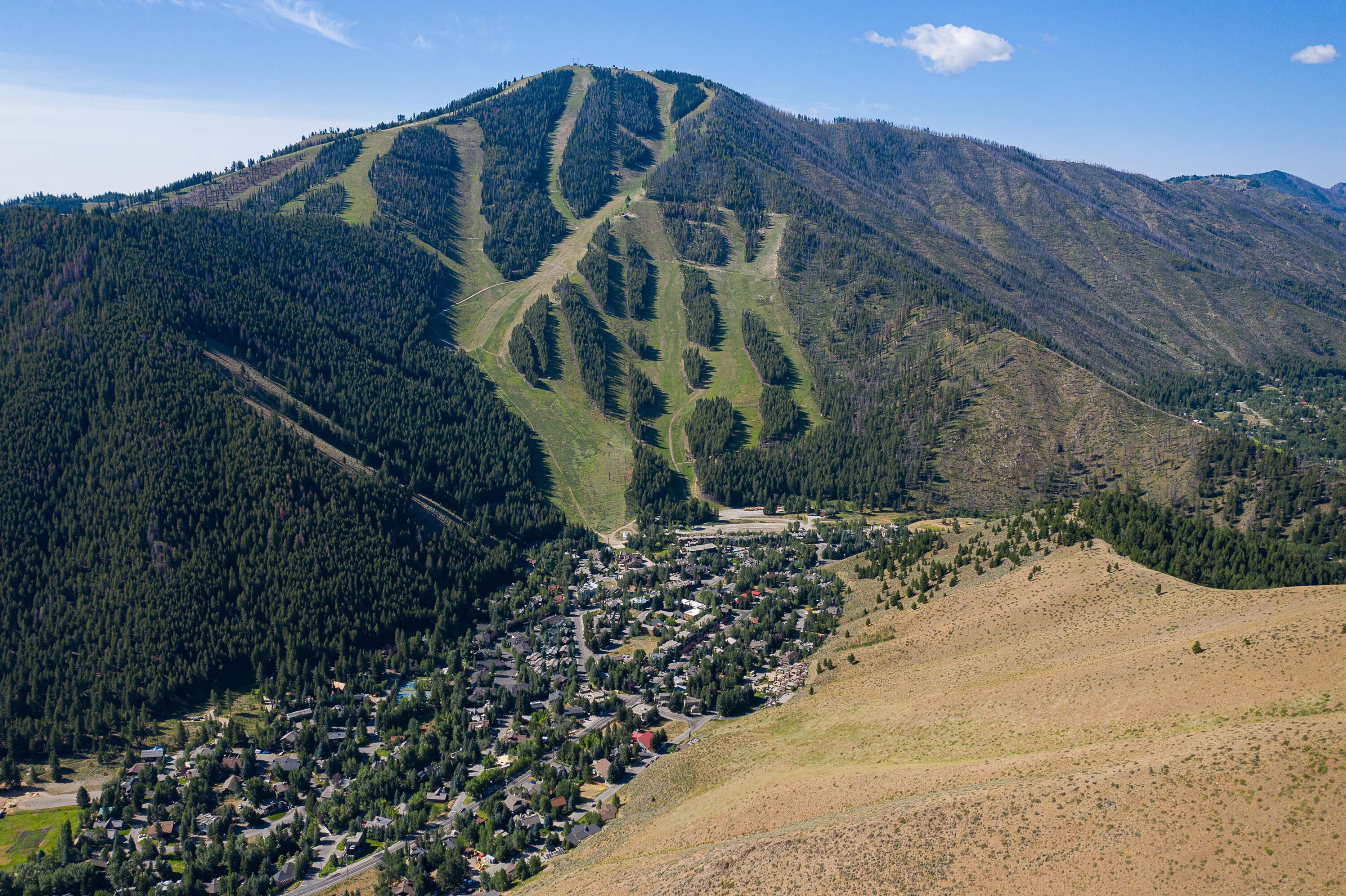 Baldy views