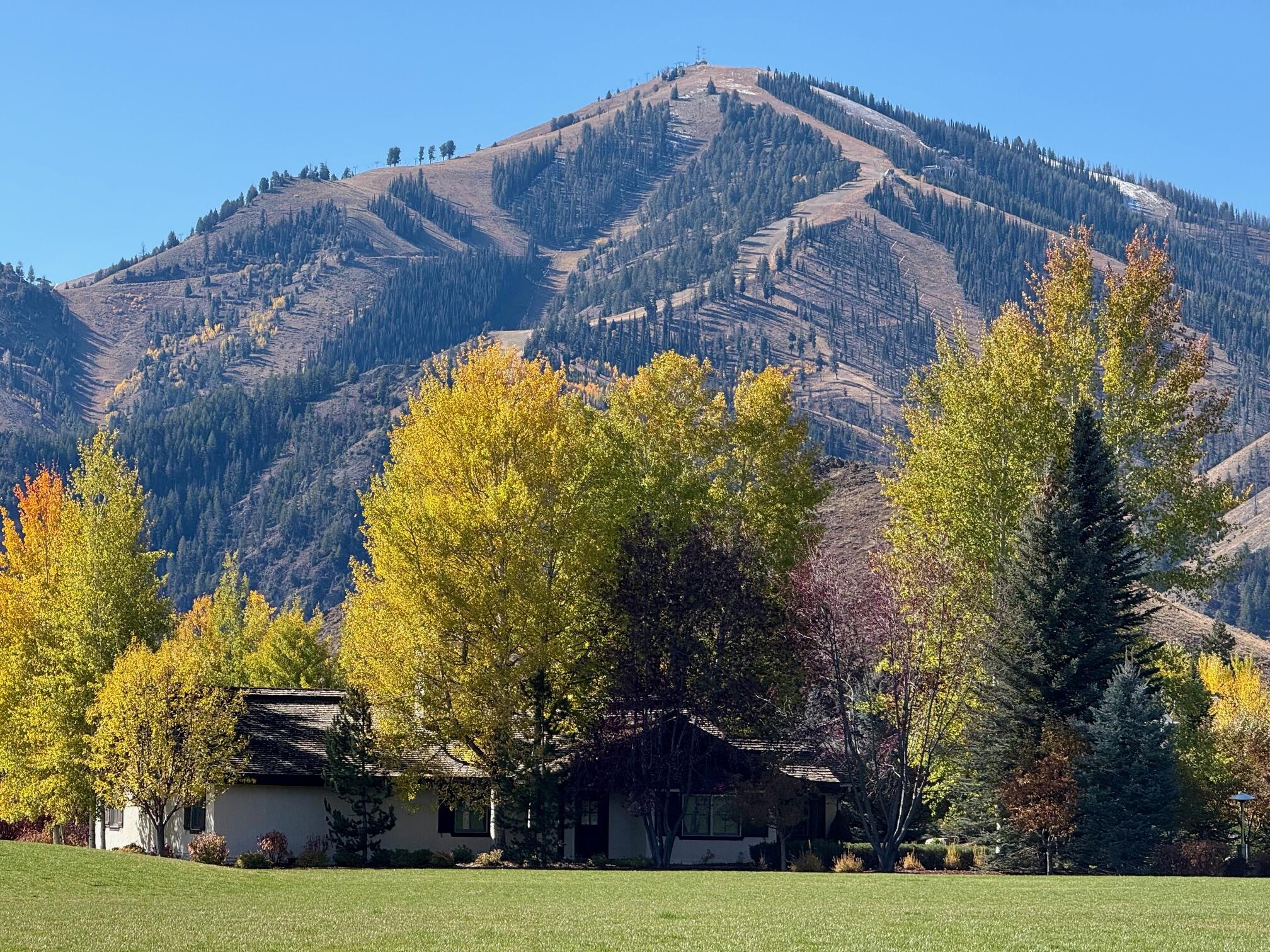 Baldy from Pavilion