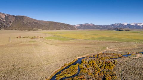 Vacant Land For Sale - 16825 Hwy 75<br/> Stanley, ID 83278