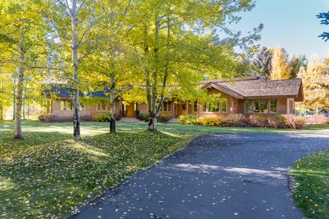 Photo of 101 Willow Rd, Blaine County, ID 83353 (MLS # 25-333380)