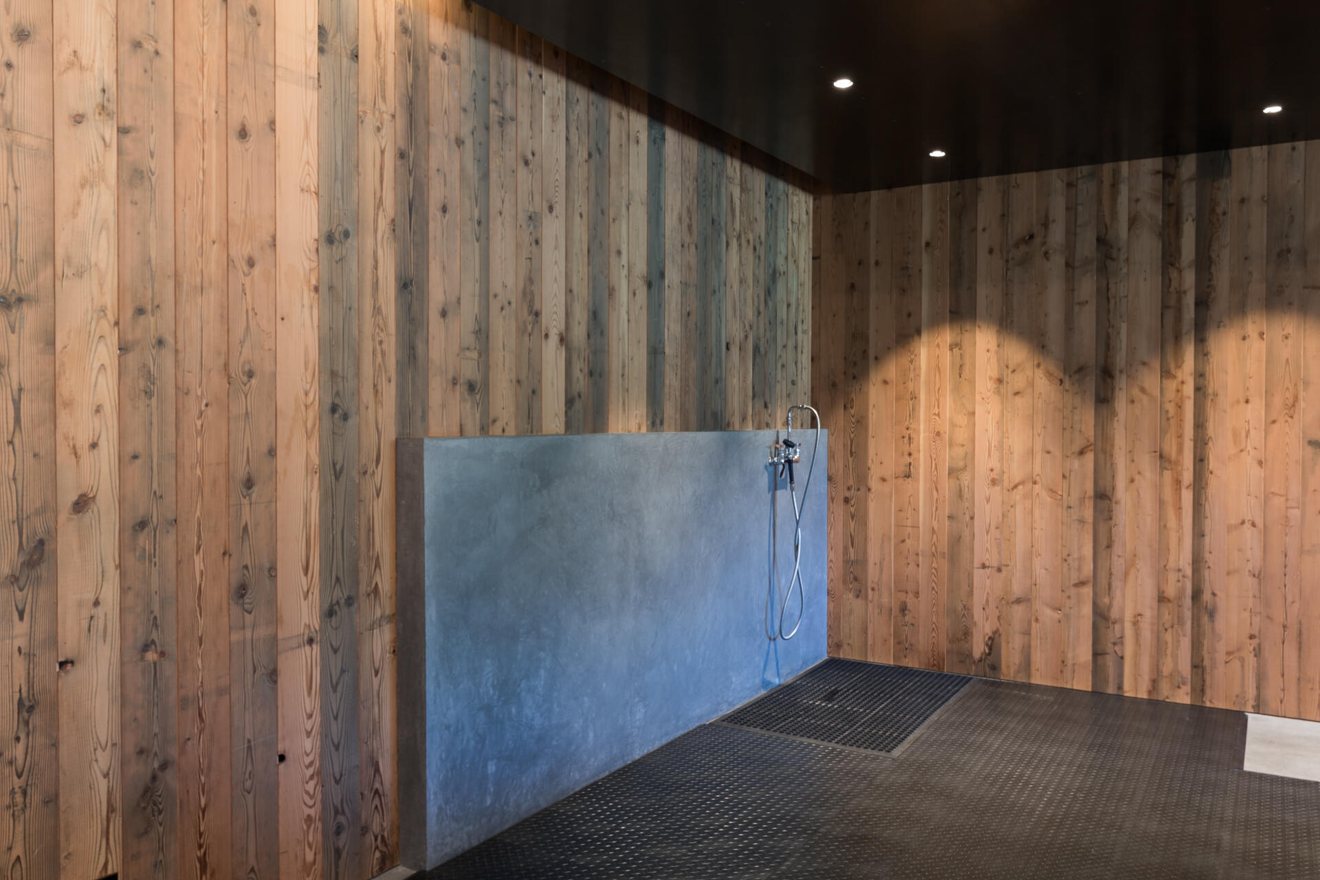 Dog wash station in Garage