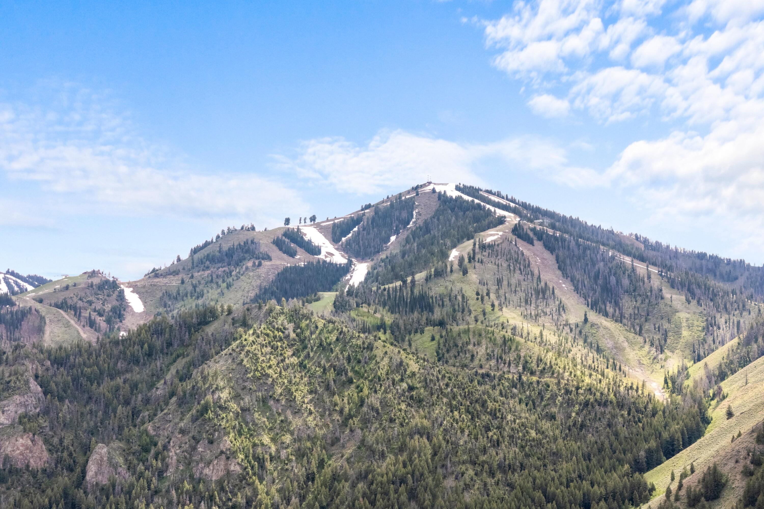 047_dji_20260519163513_0115_d-1_511