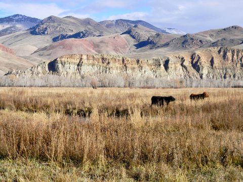 Vacant Land For Sale - 24950 Hwy. 93<br/> Challis, ID 83226