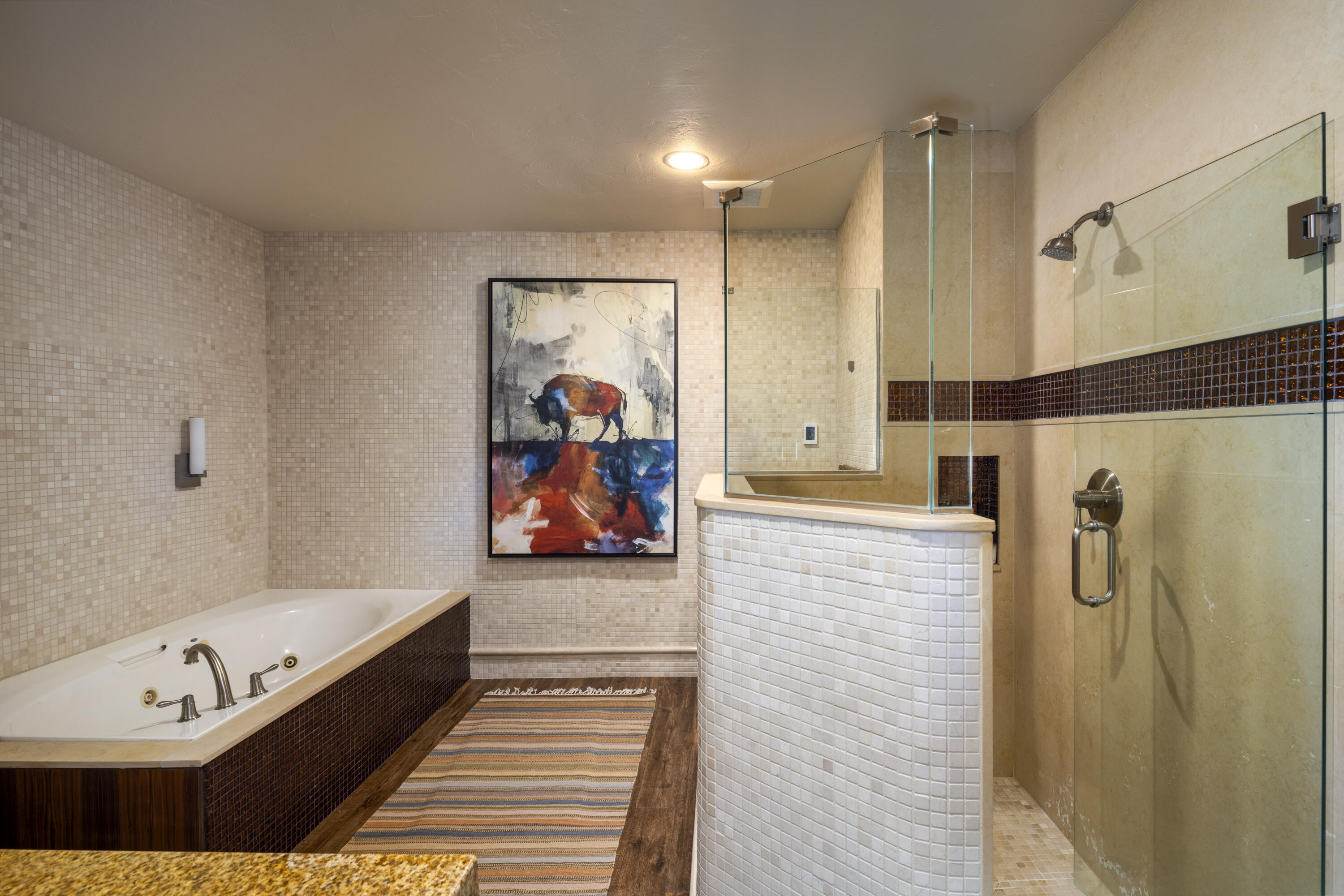 Bathroom - Primary Shower and Tub