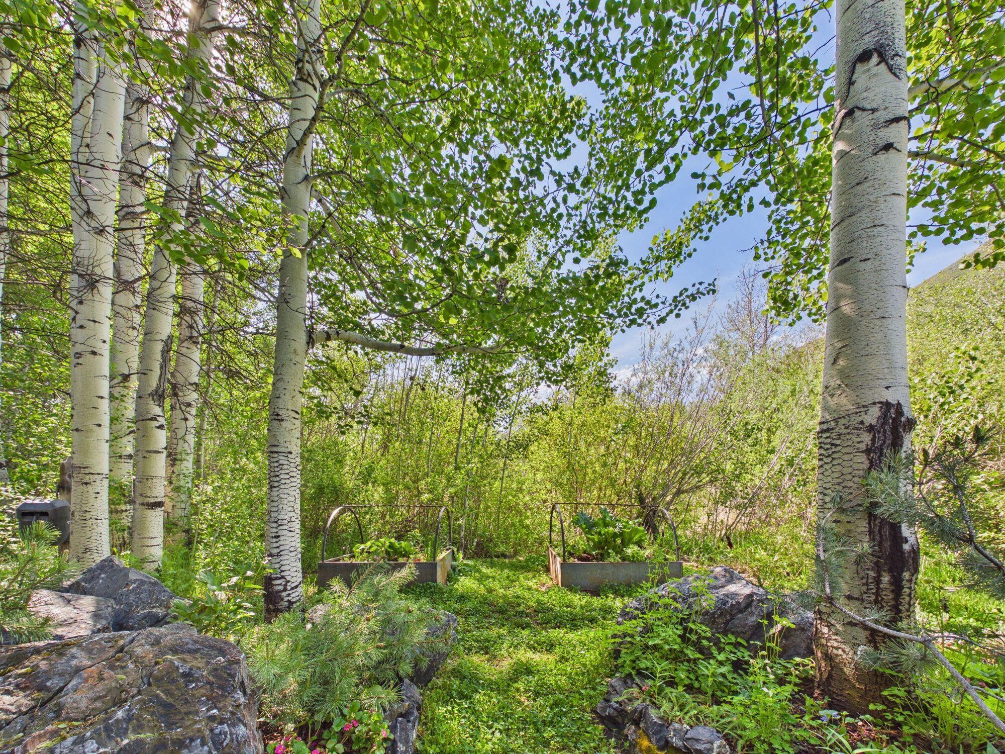Mature landscaping and garden beds