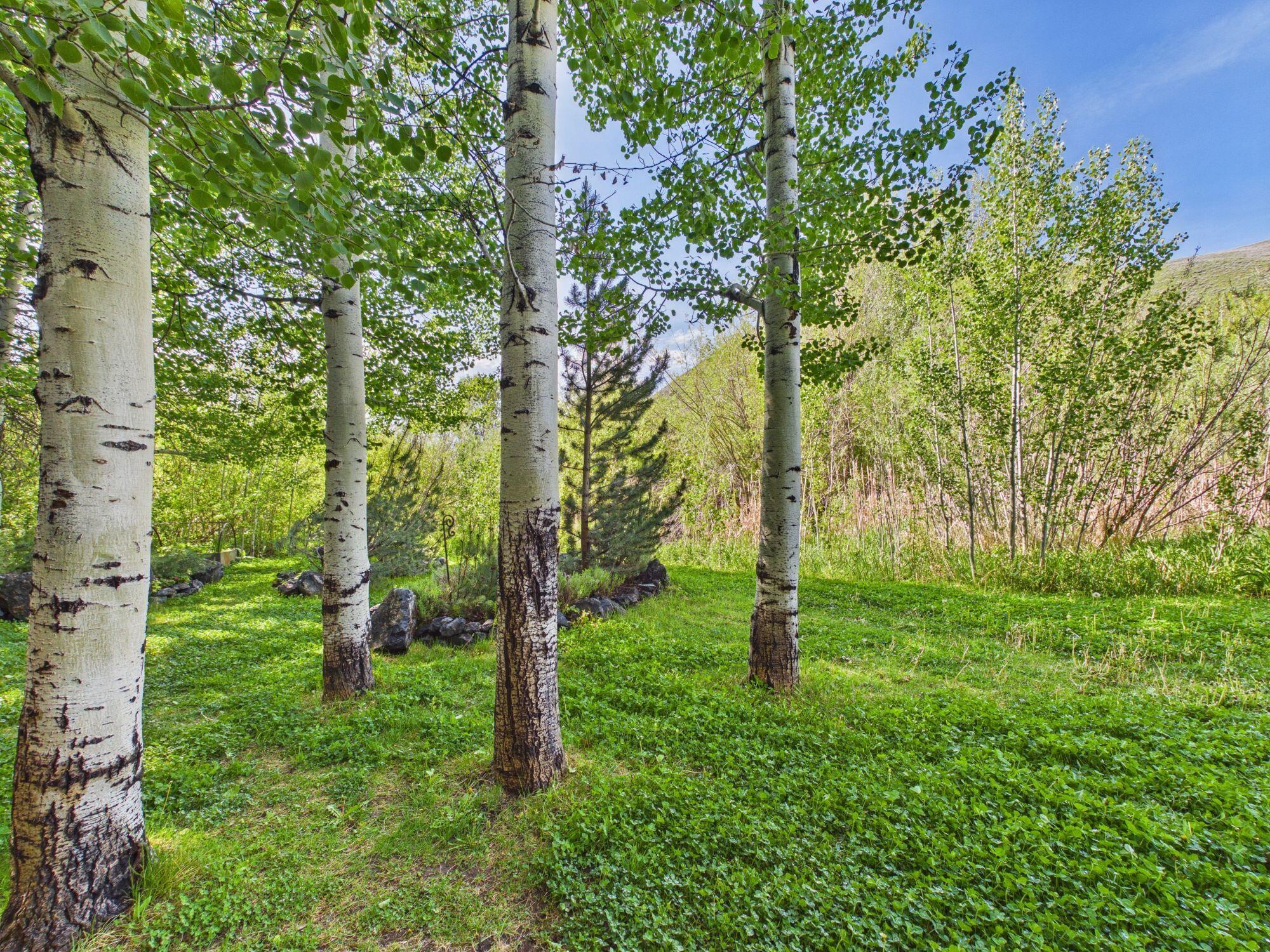 Matrue Landscaping