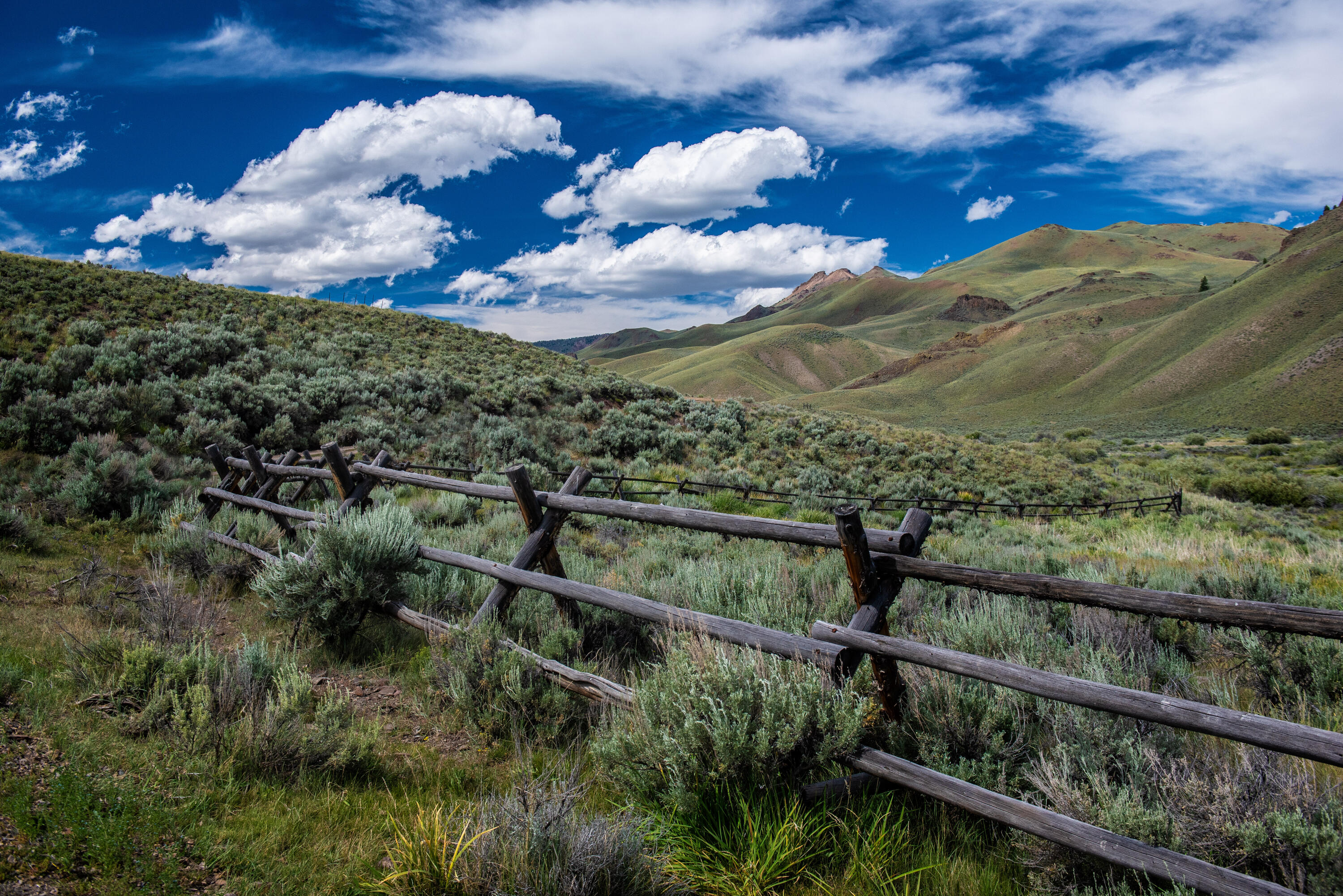 4807 Twin Bridges Creek Rd, Mackay, Idaho image 2