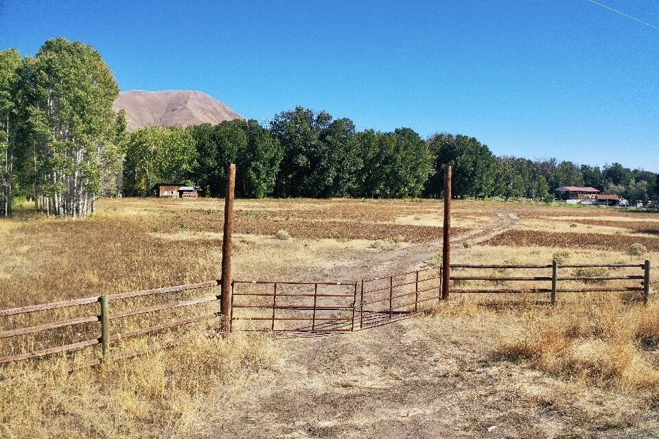 113117 Sept Drone 10