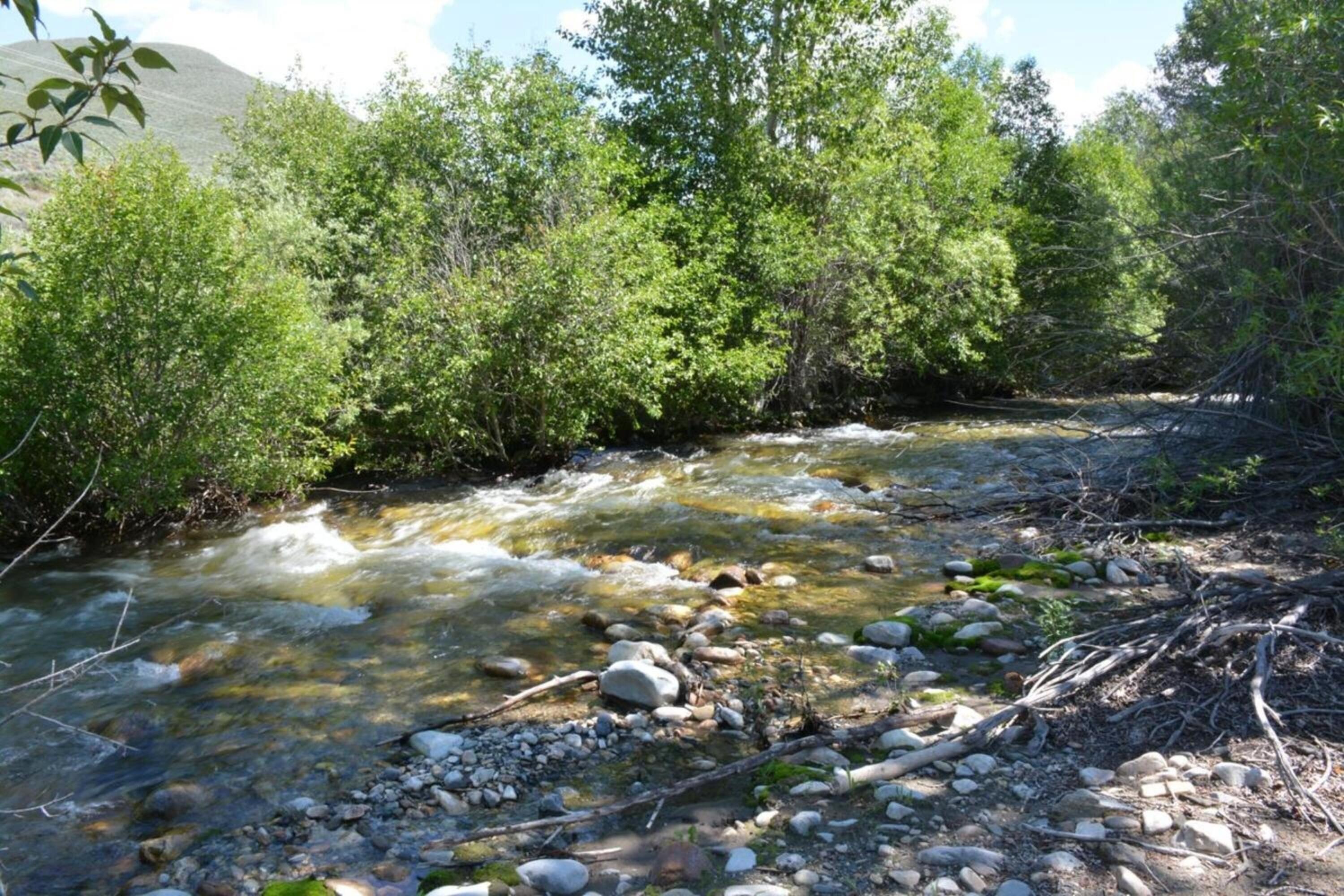 008_tbd_east_fork_road_lot_6_hailey_id_8