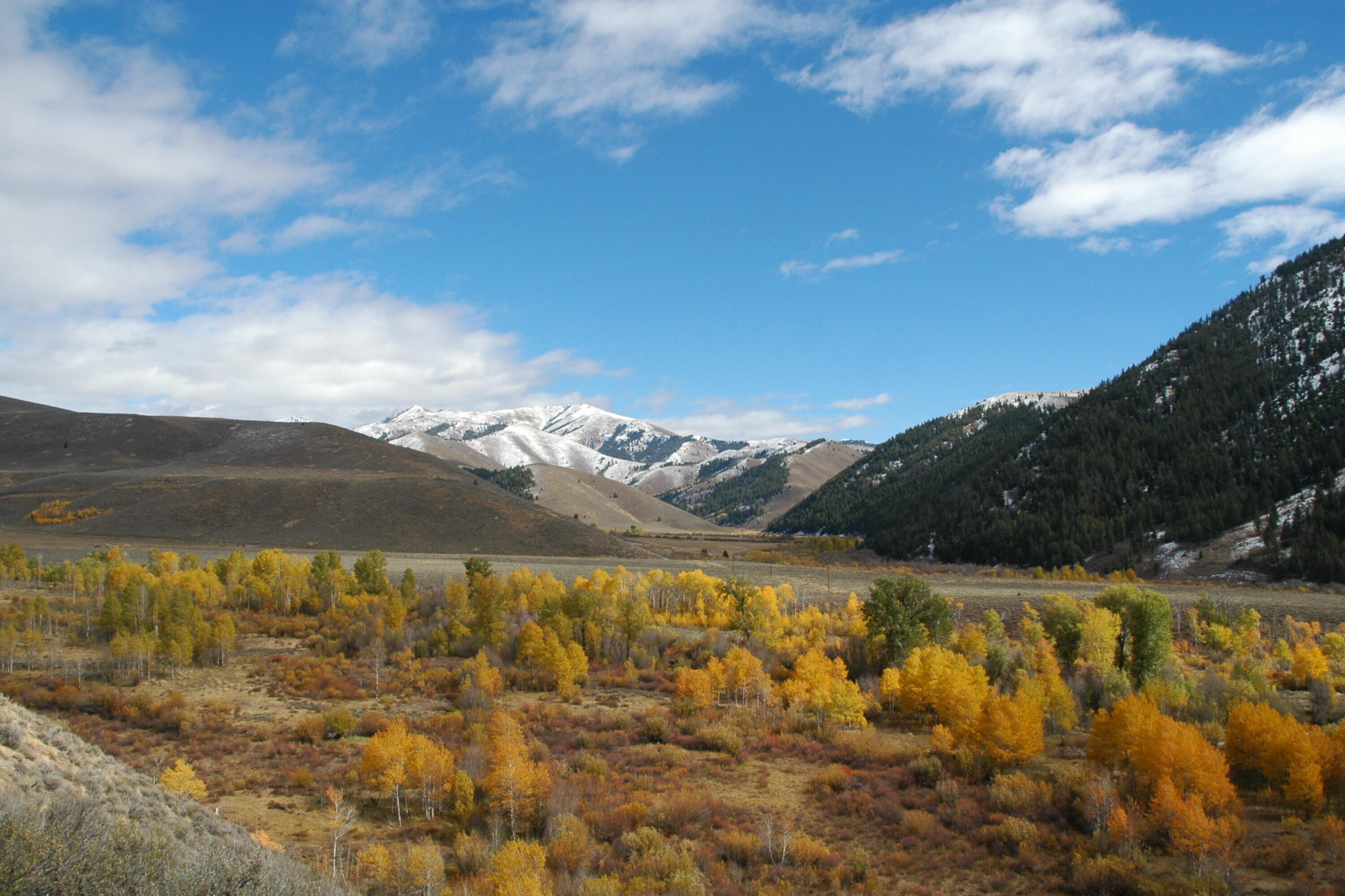 010_tbd_east_fork_road_lot_6_hailey_id_8