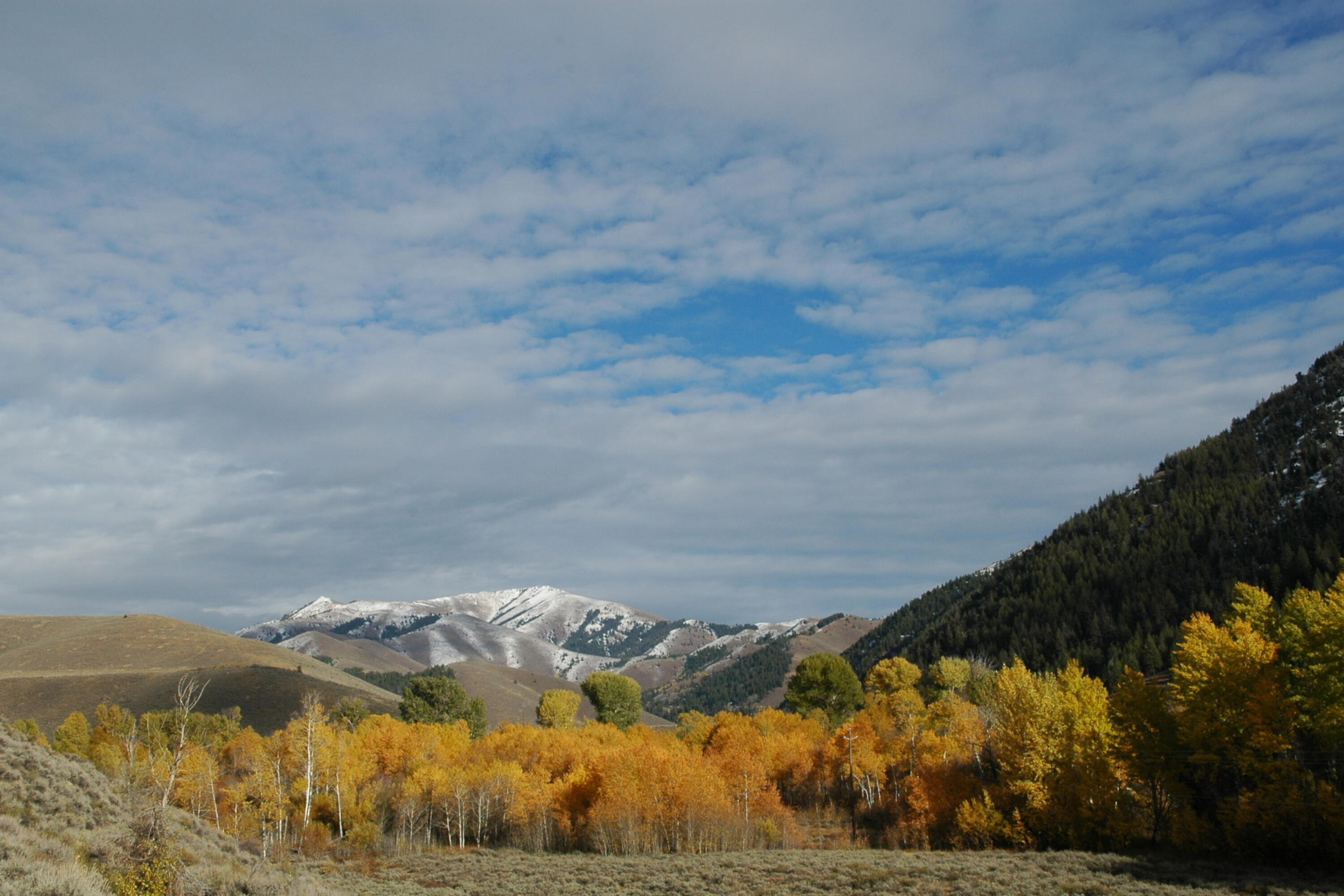 017_tbd_east_fork_road_lot_6_hailey_id_8