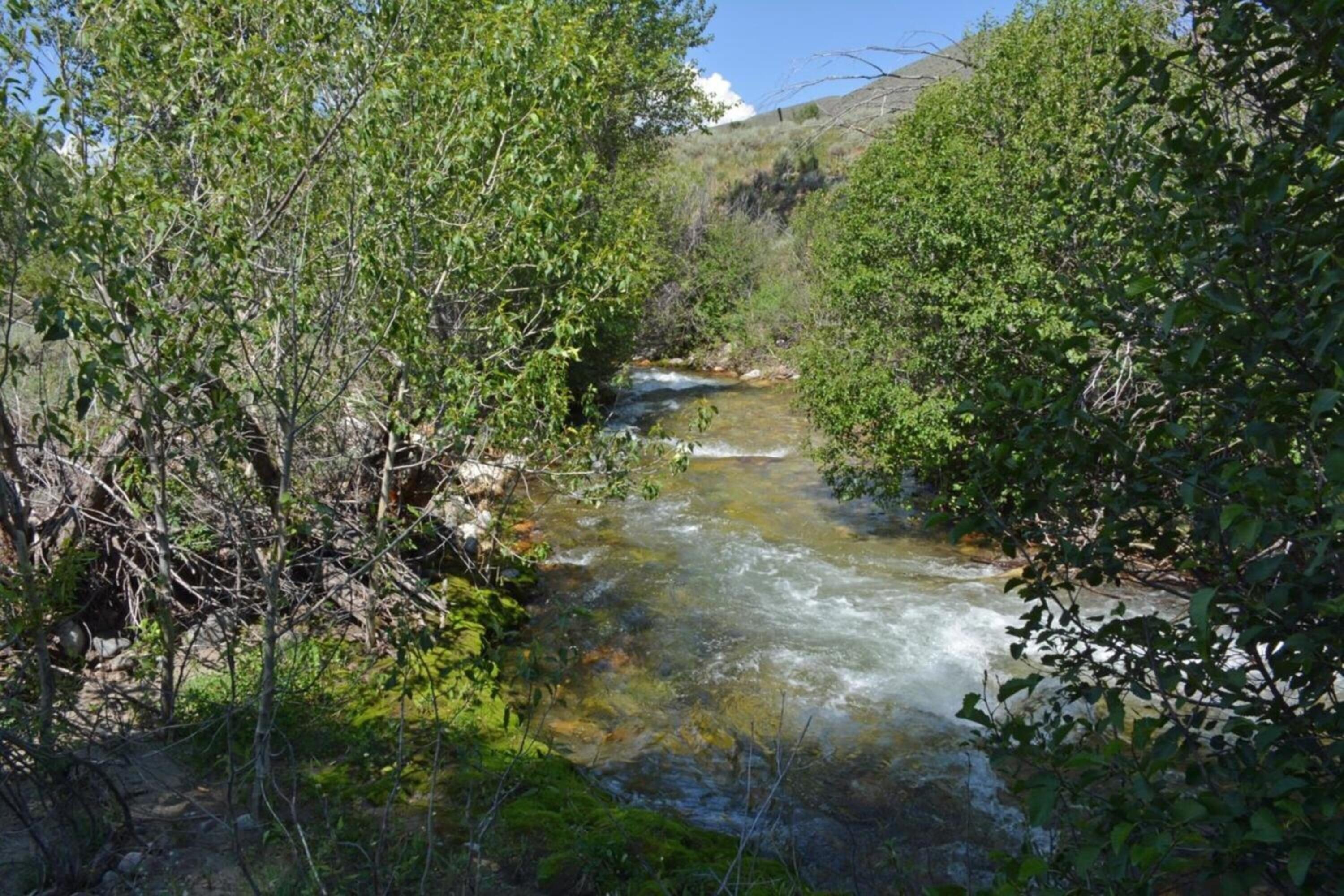 016_tbd_east_fork_road_lot_6_hailey_id_8