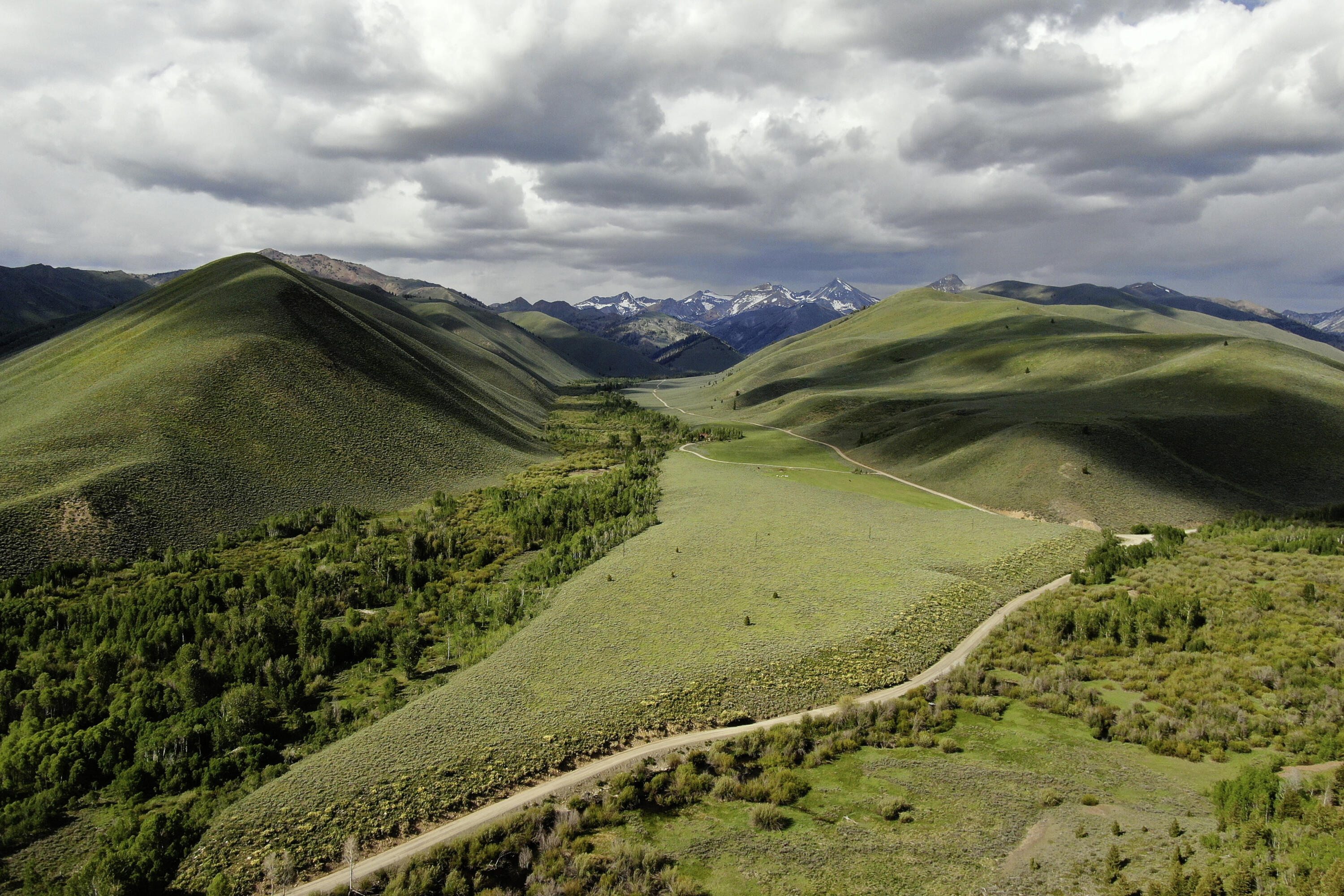 001_triumphranchlot6-0263_334