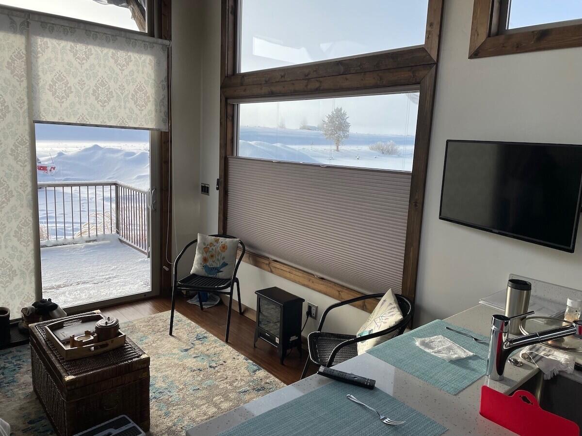 955 Eva Falls Ave #5, Stanley, Idaho image 8