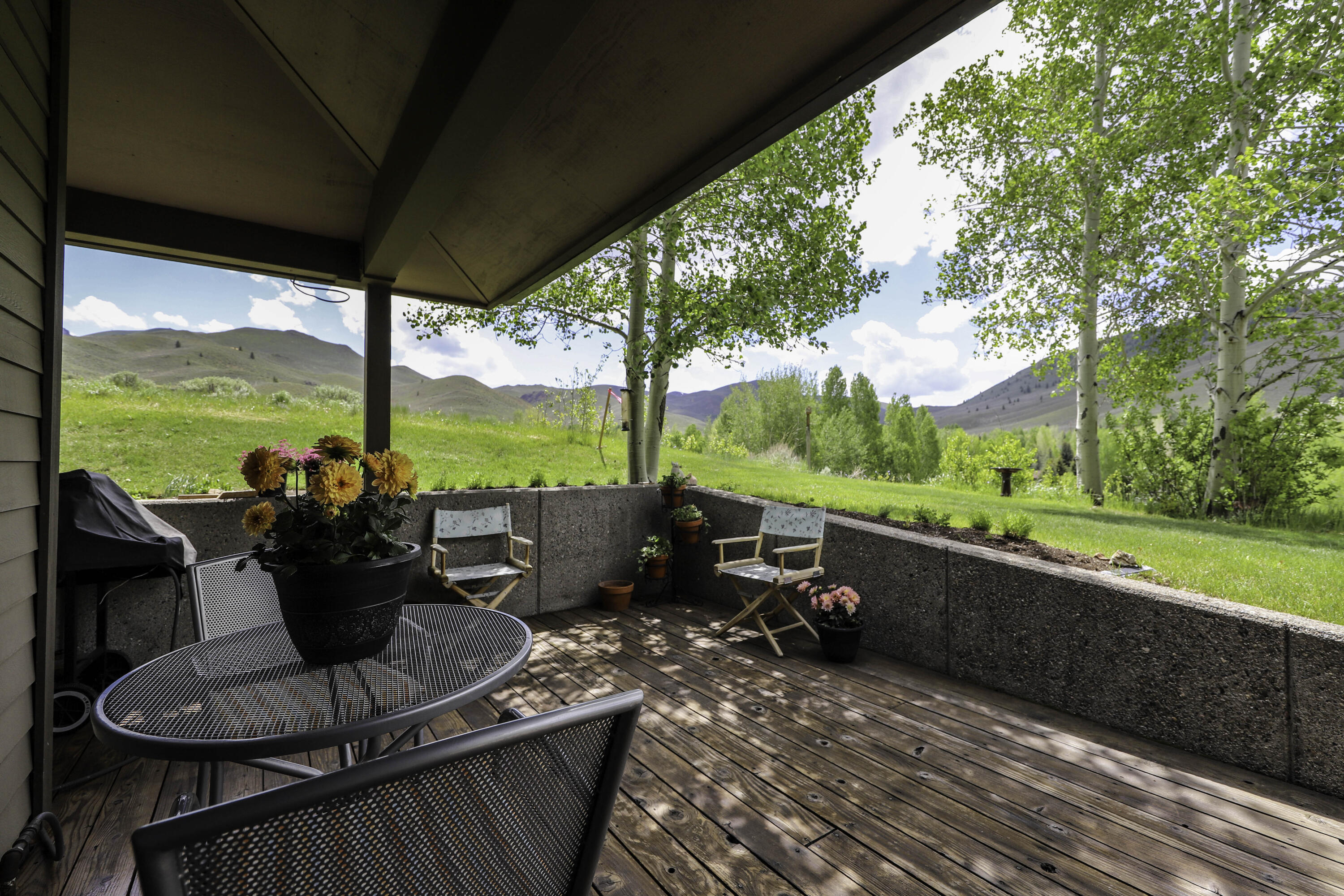 Back Porch