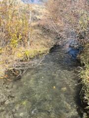 5500 N Chilly Butte Lane, Mackay, Idaho image 11