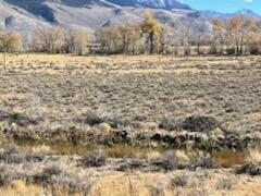 5500 N Chilly Butte Lane, Mackay, Idaho image 19