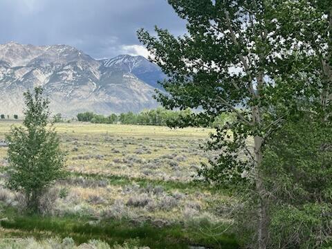 5500 N Chilly Butte Lane, Mackay, Idaho image 3