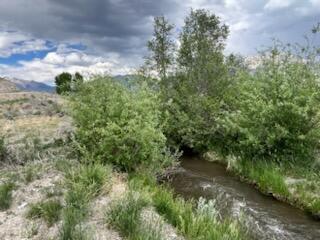 5500 N Chilly Butte Lane, Mackay, Idaho image 6