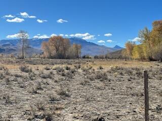 5500 N Chilly Butte Lane, Mackay, Idaho image 20