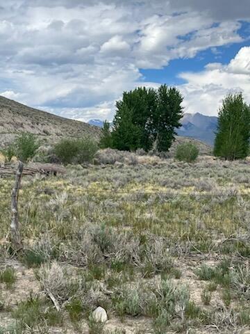 5500 N Chilly Butte Lane, Mackay, Idaho image 7